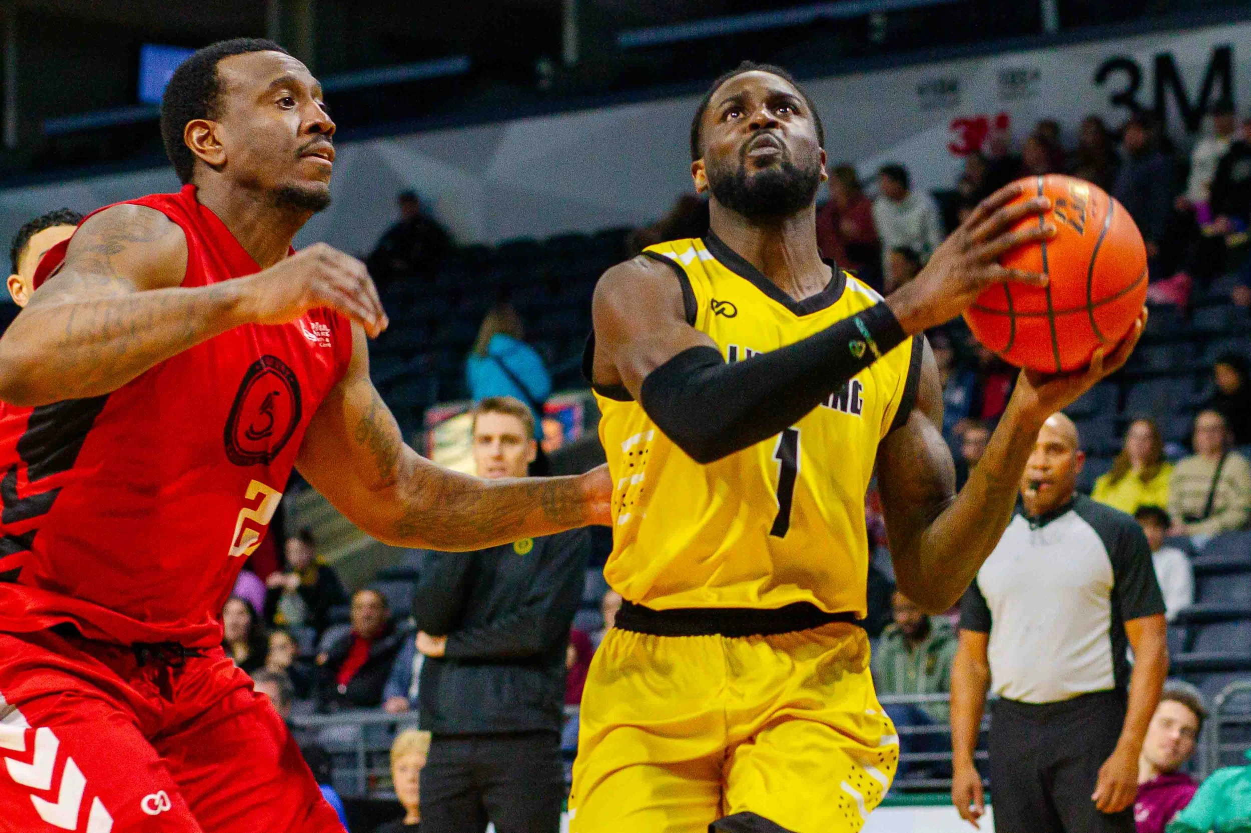   (Photo: Matt Hiscox Photography).  