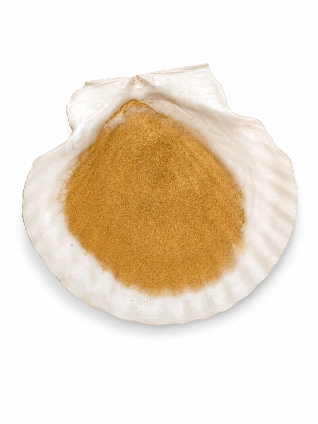 shell_gold_edited (3).png