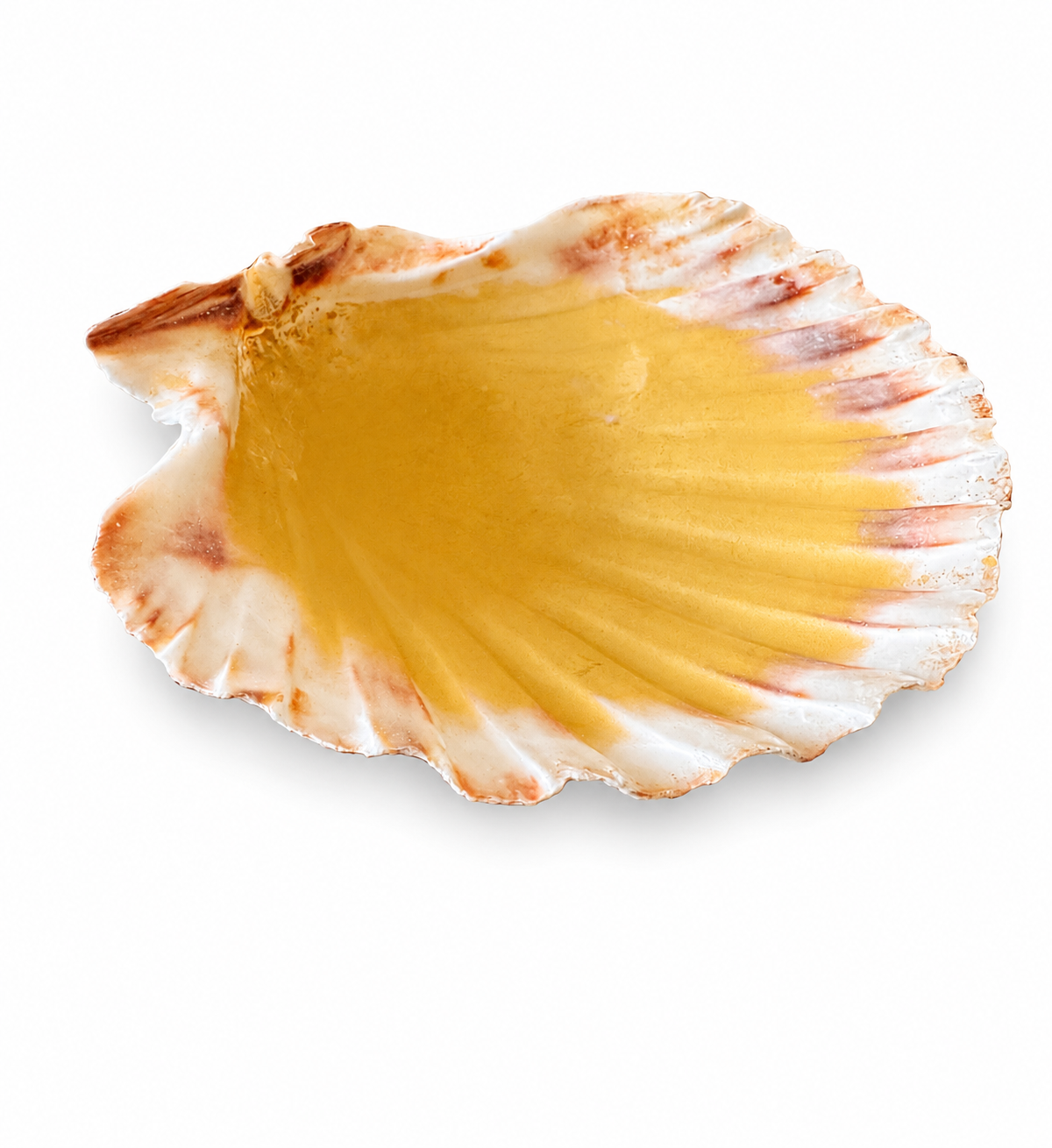 shell_gold_edited (7).png
