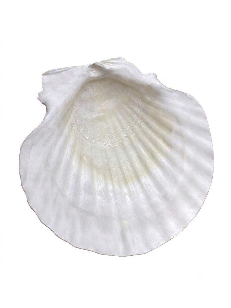 image.jpeg