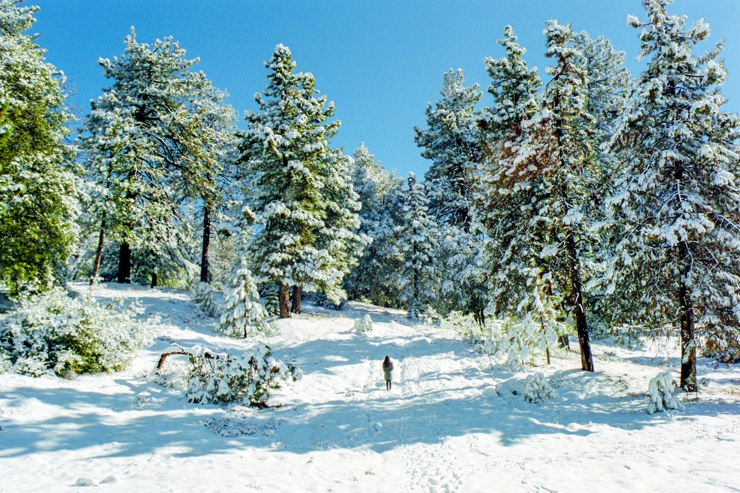 1612_CAID_29.jpg