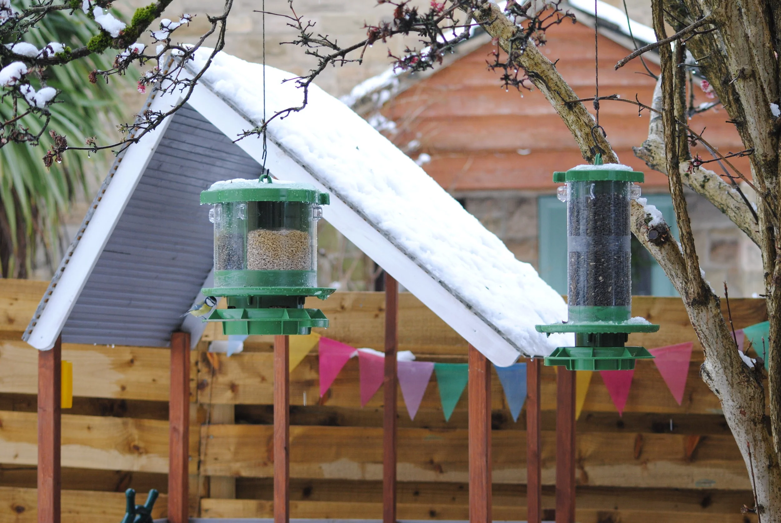Finches Friend Cleaner Feeders — High quality, easy clean bird feeders