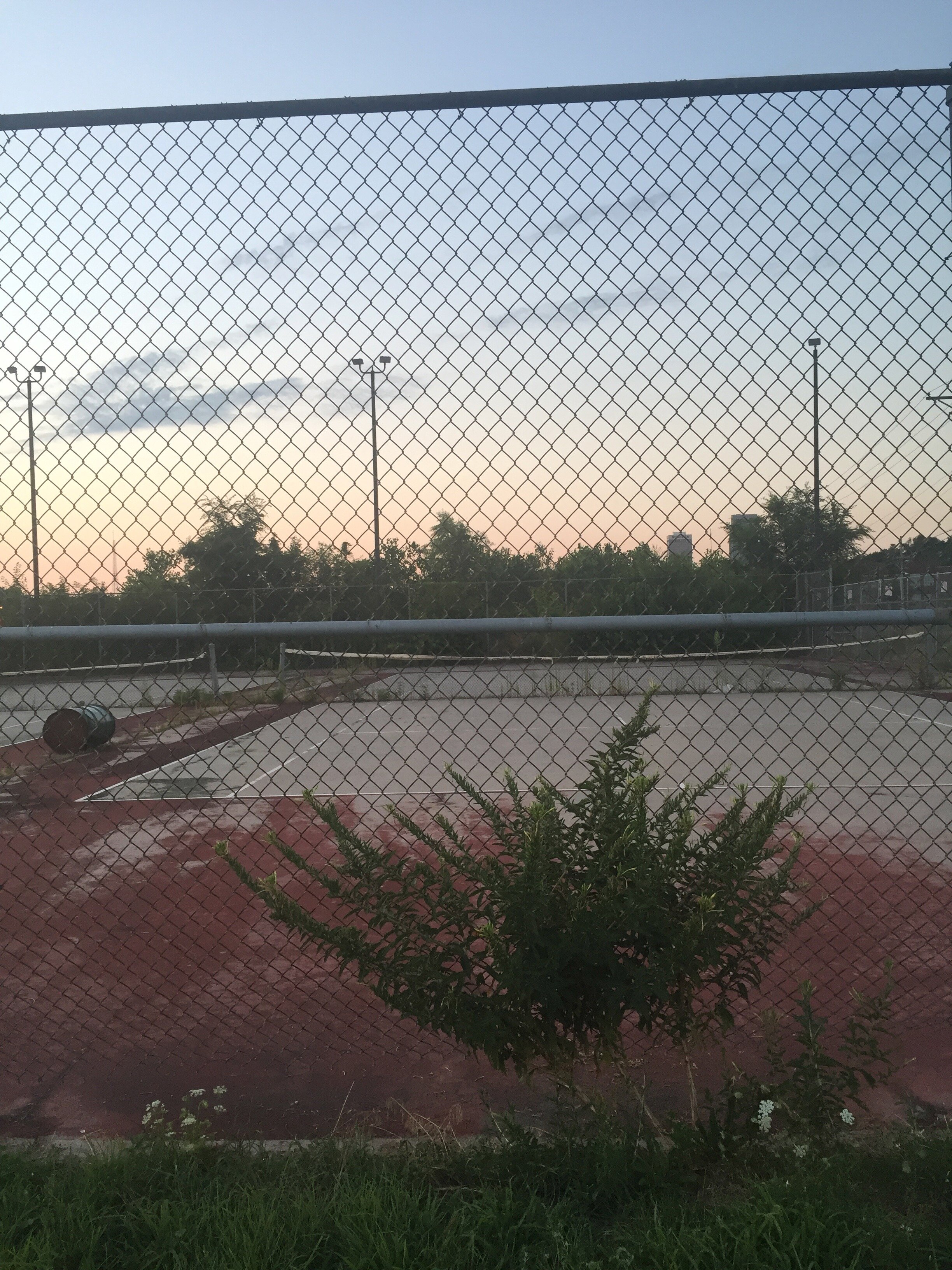 #heytherelonelycourt 2016