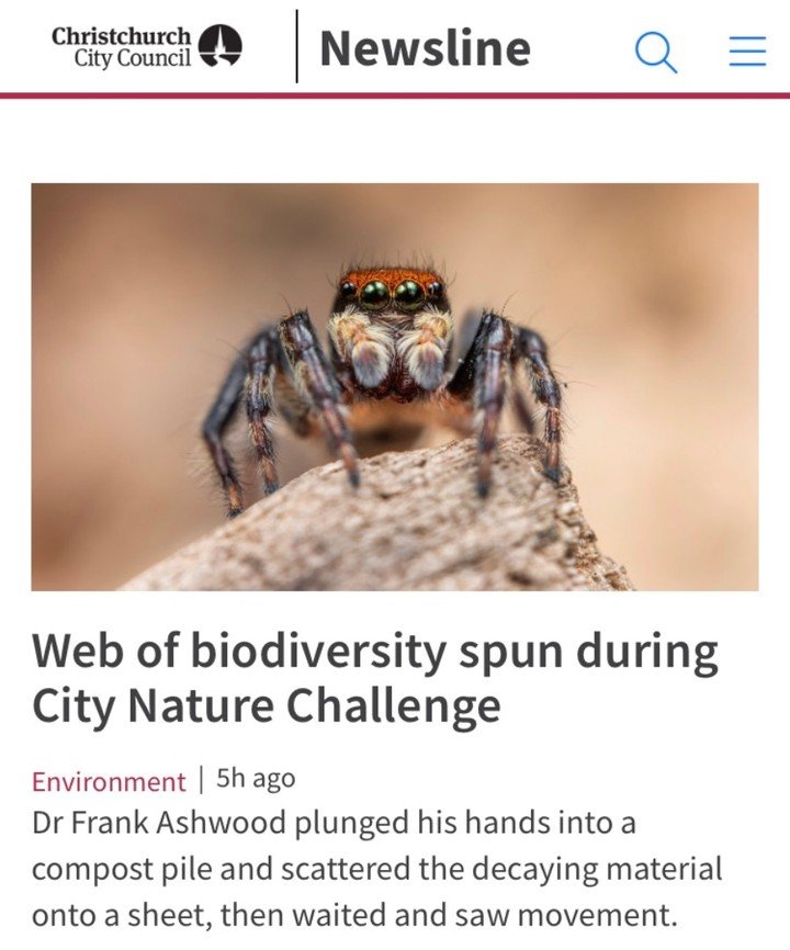 https://newsline.ccc.govt.nz/news/story/web-of-biodiversity-spun-during-city-nature-challenge

#citynaturechallenge #Macrophotography #Spider #SoilBiodiversity