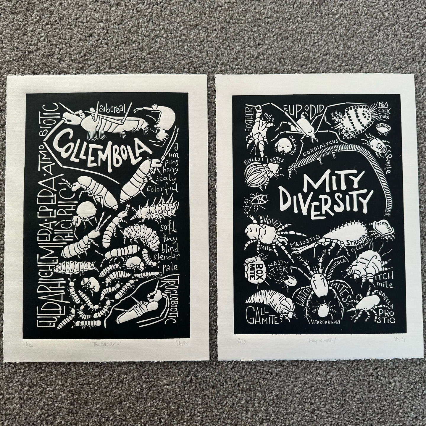 AMAZING SOIL ANIMAL ART ALERT!!

Today I received these two beautiful handmade prints by the exceptionally talented Svenja Meyer @sm_artwork_321, showing off the wonderful diversity of springtails and mites. My office is about to get even more soil f