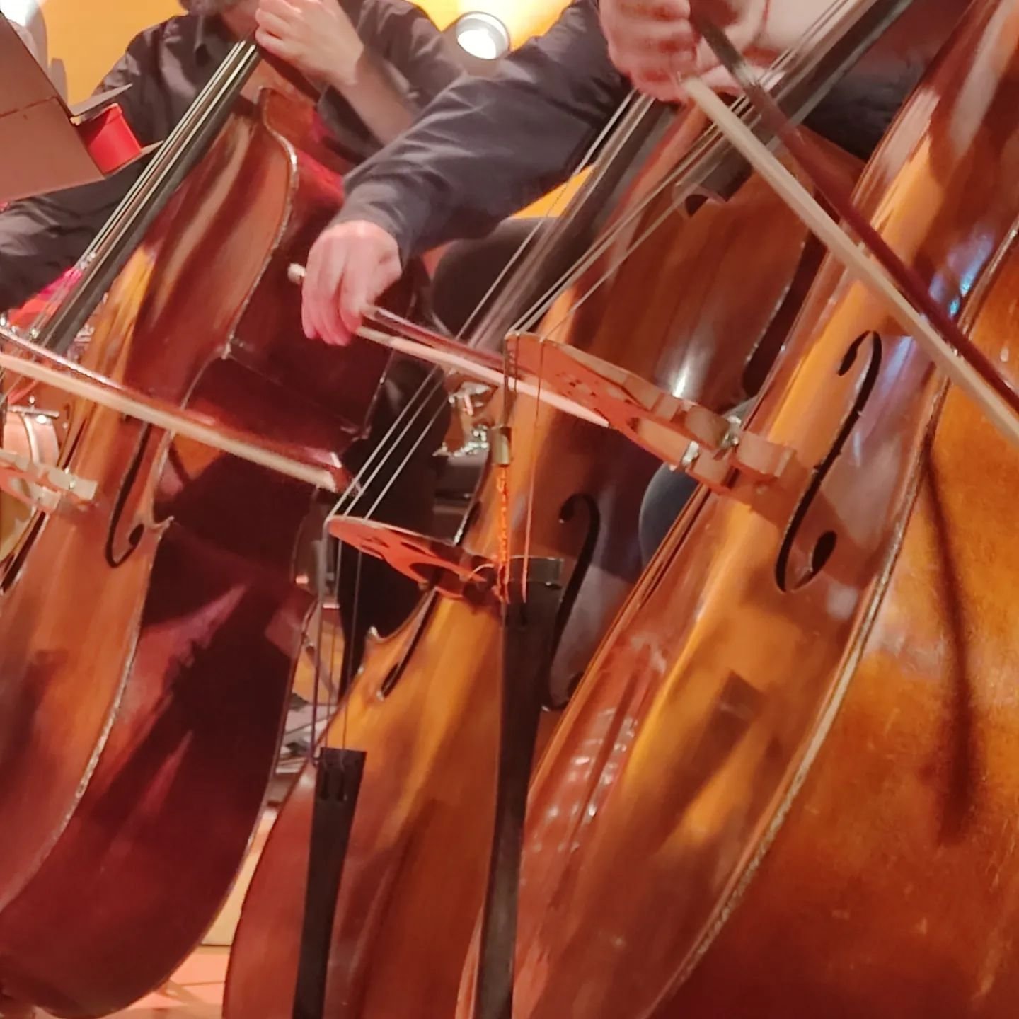 Quin privilegi, la meva feina 💛 Avui he pogut assistir a &quot;La Creaci&oacute; del M&oacute;n&quot; que la @giosymphonia ha executat a l' @auditori_gi i encara no m'ha marxat la cara de satisfacci&oacute;. 

Qque la resta de diumenges de l'any sig