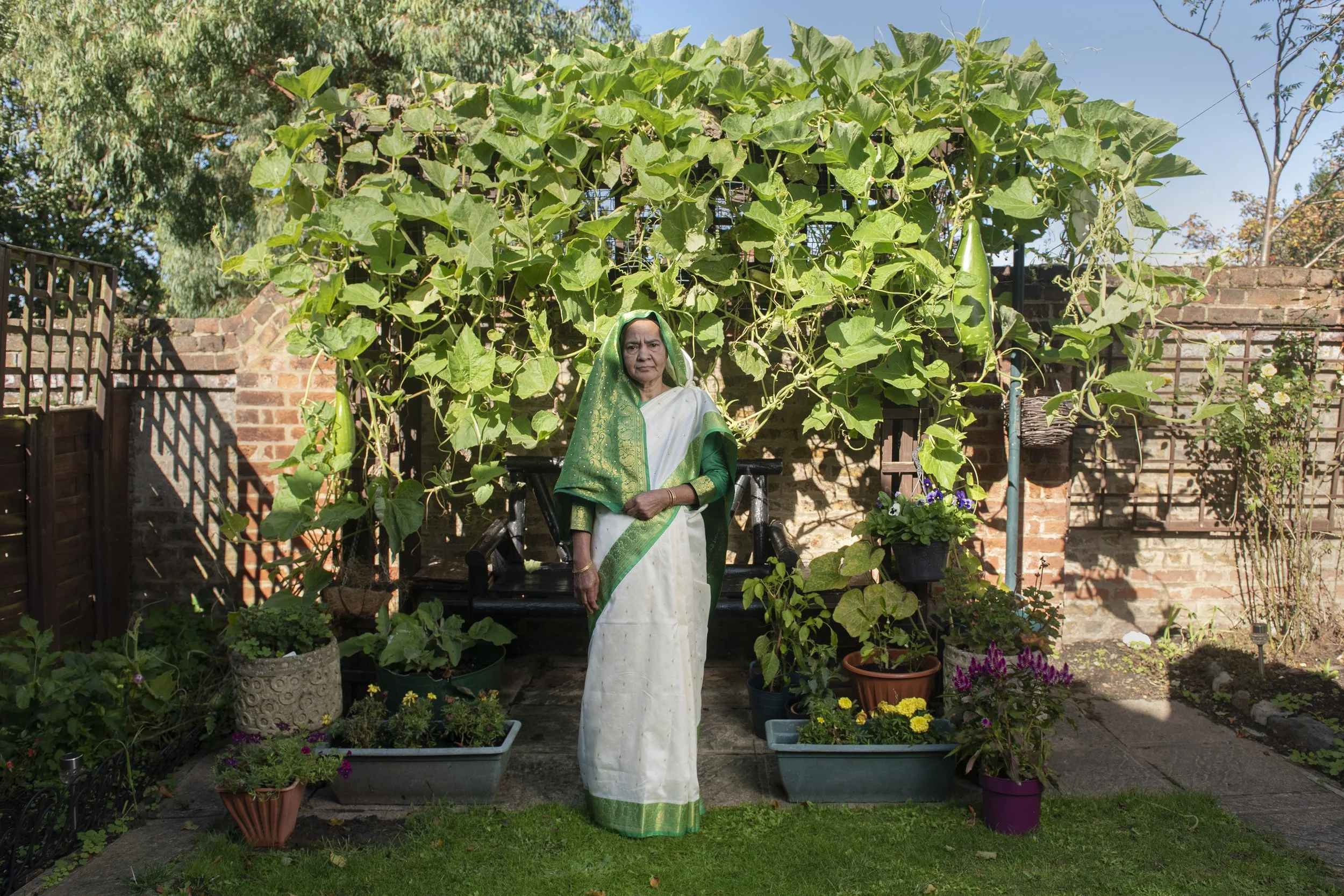 Seema Khalique 2.jpg