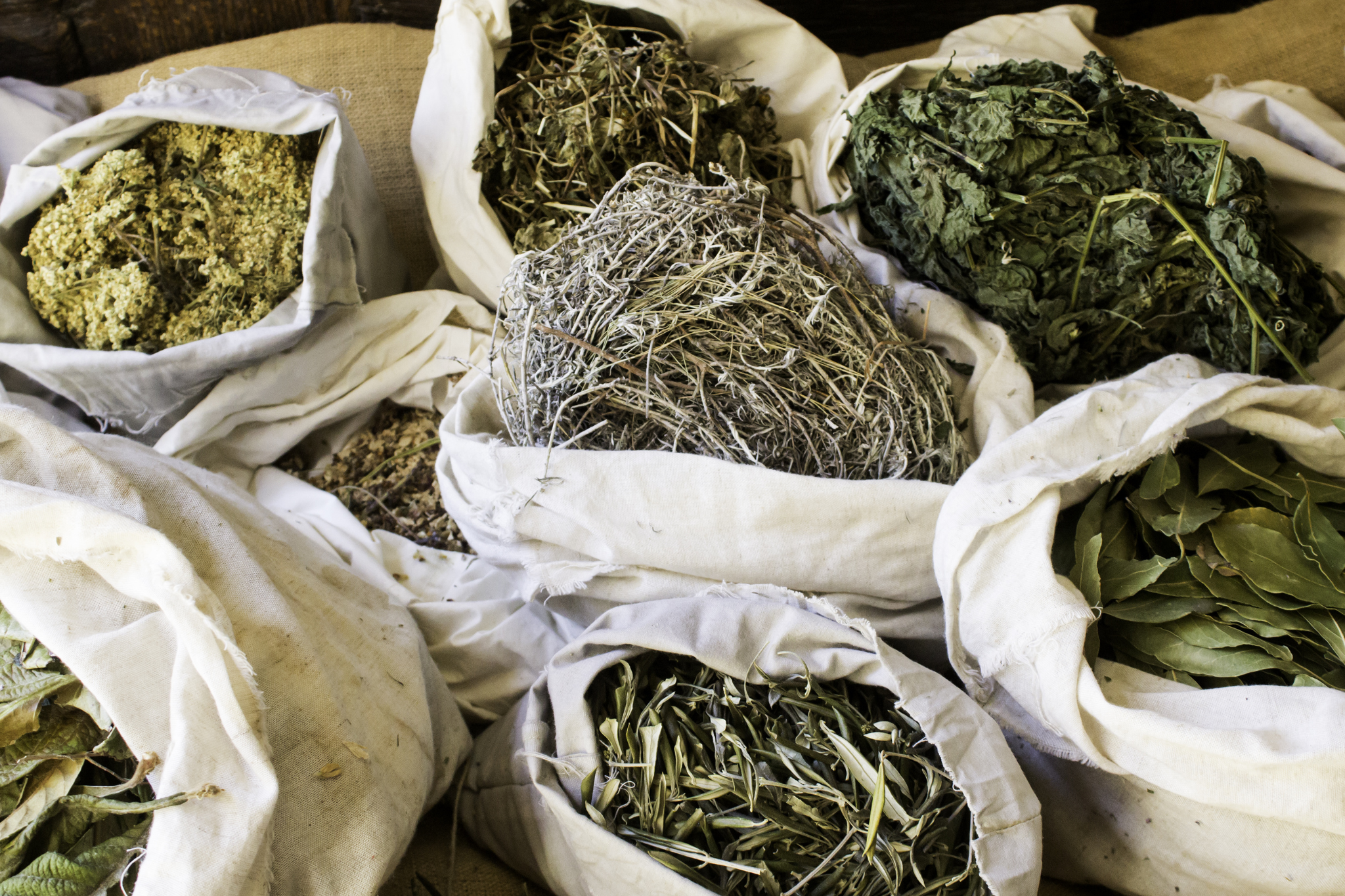 Harvesting Health: Herbal Remedies for Common Ailments