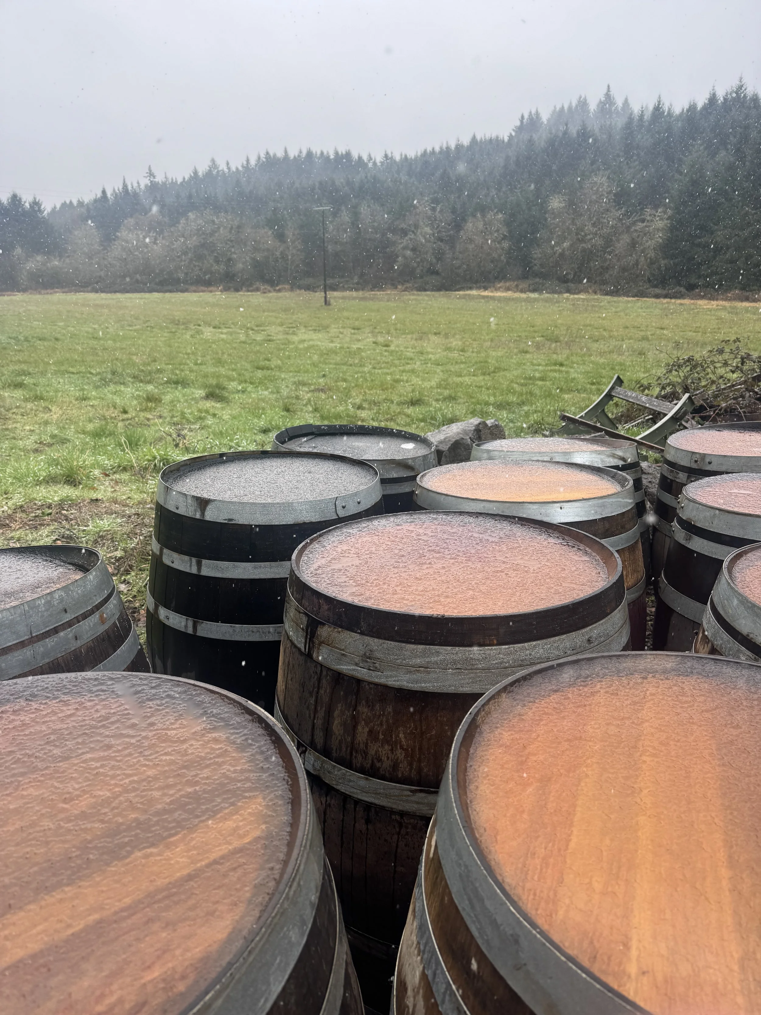 Shumaker wines-15.jpeg