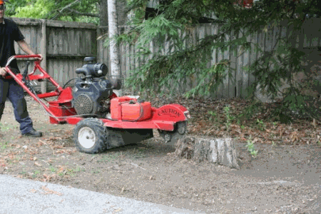 Stump-Grinding.gif