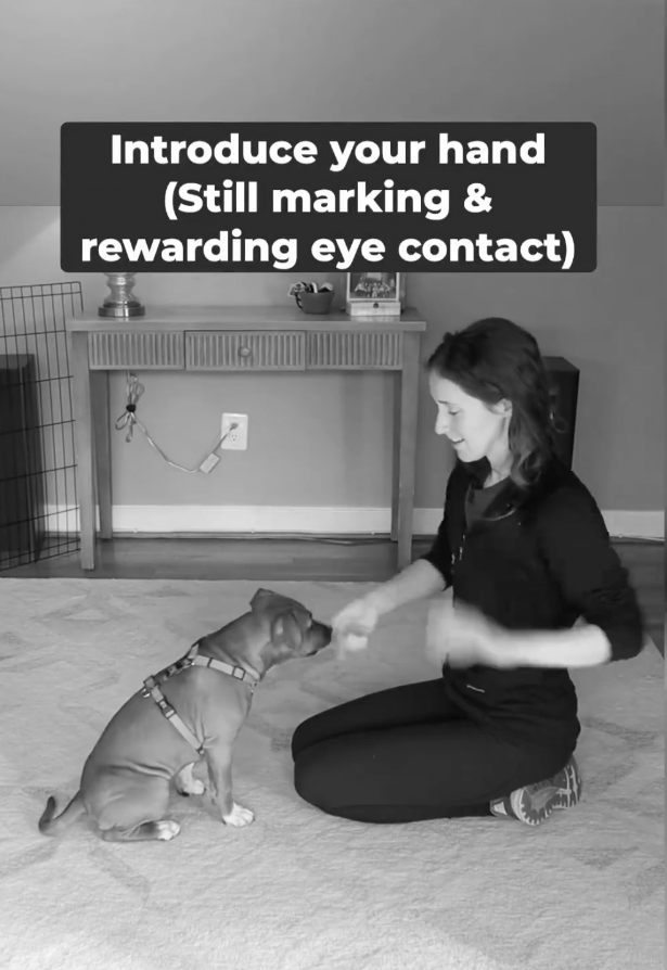 how to stop puppy biting