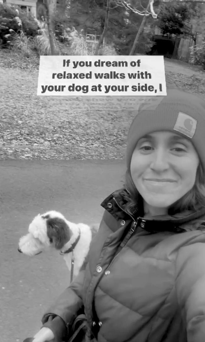 puppy training leash walking