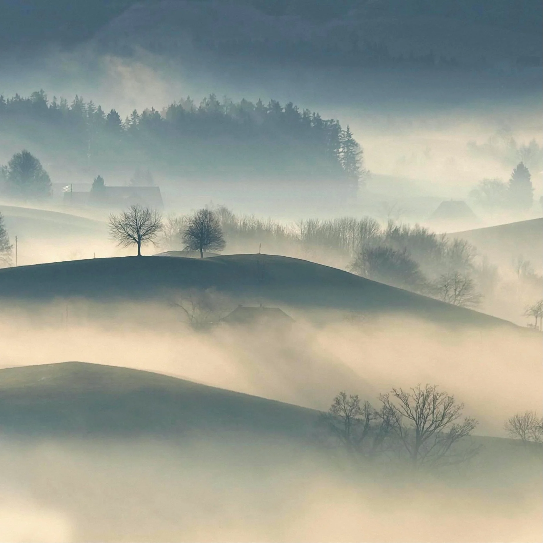 Übungsgruppe Achtsame Kommunikation "Herbst/Winter" (8 Termine in folge)