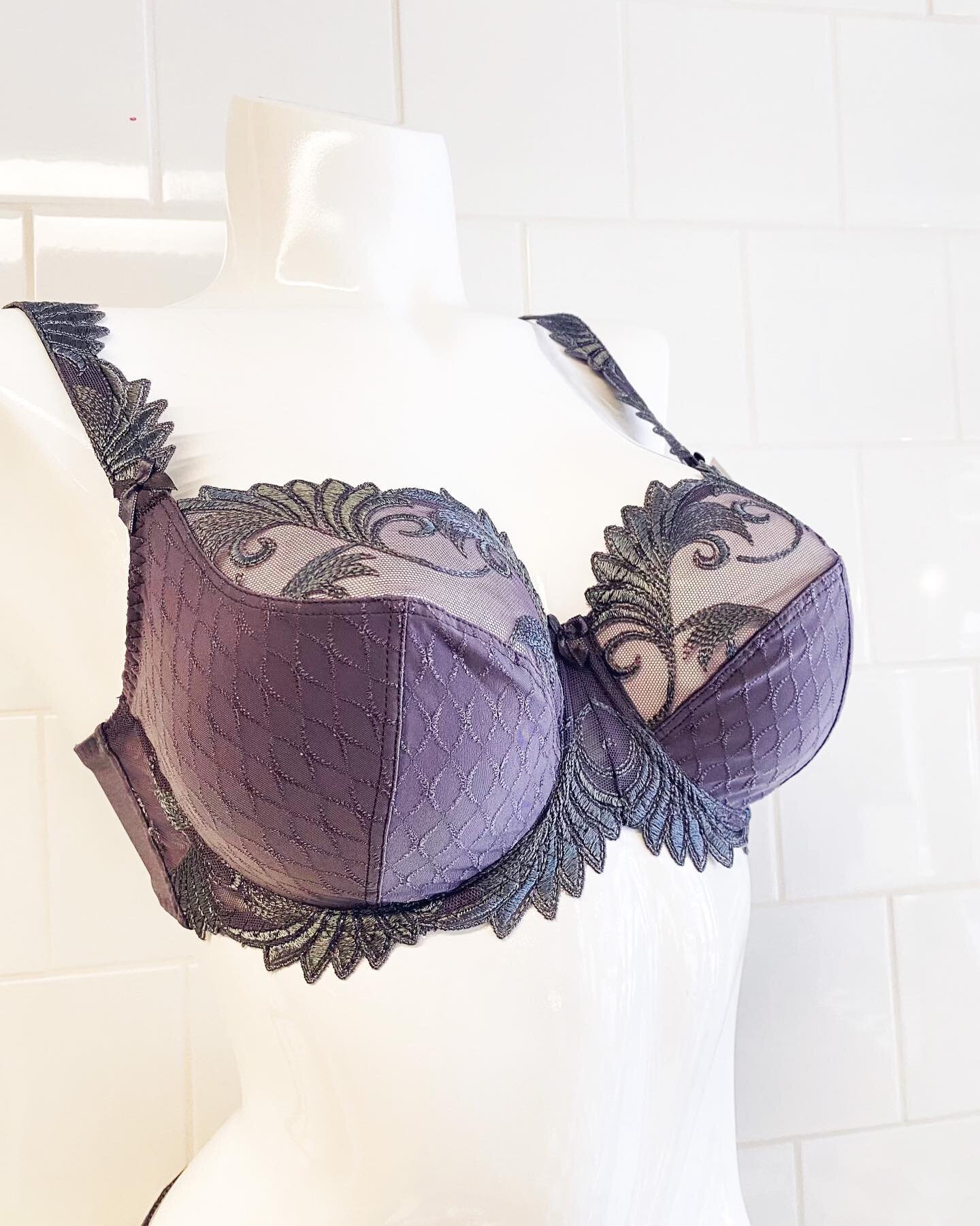 She's an ICON for a reason! Thalia from Empreinte is here: 
Stunning, unique, absolutely gorgeous

And because this bra comes from one of our top designers, this will be the comfiest daily driver bra if you want it to be - truly the best of both worl