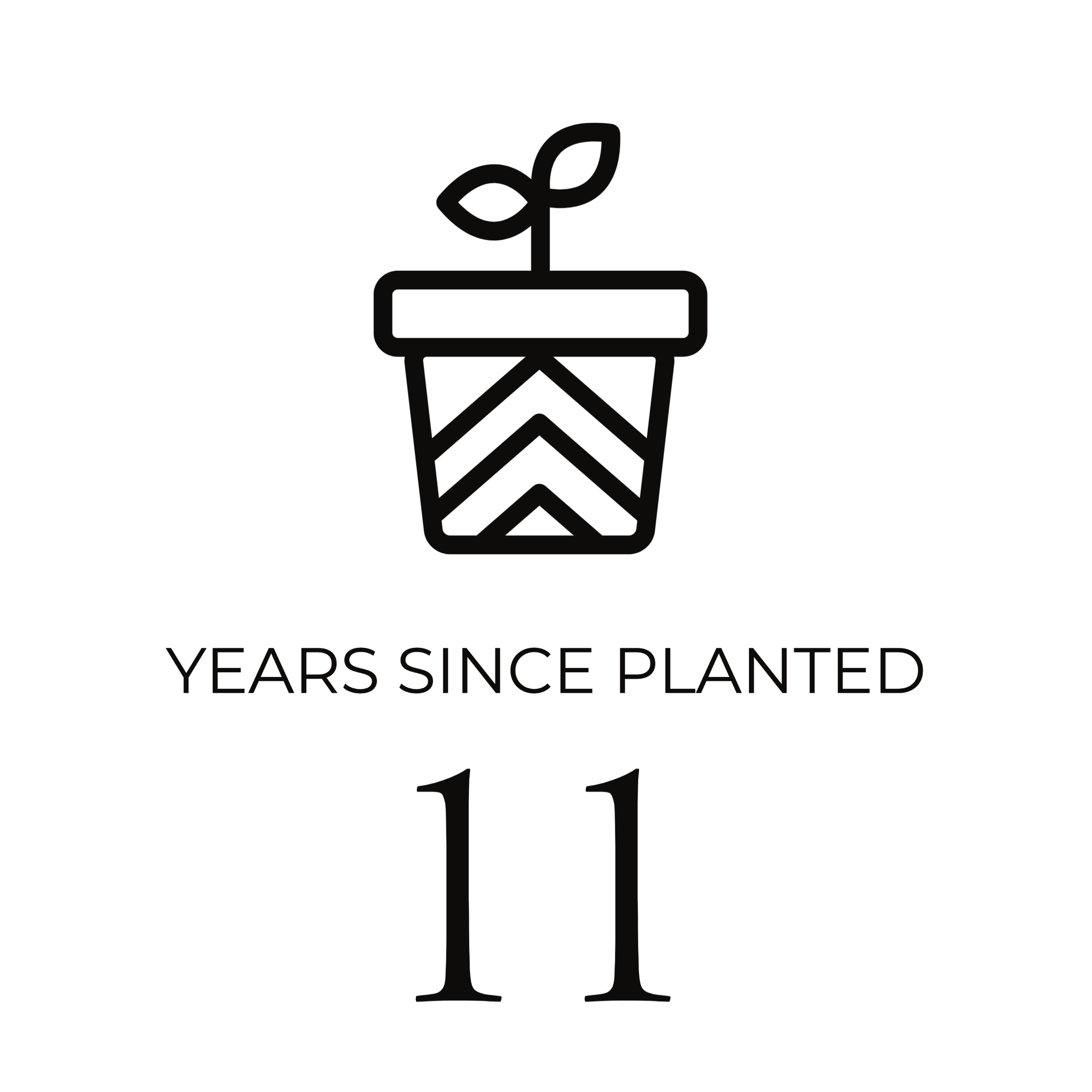 Years Since Planted-1.png