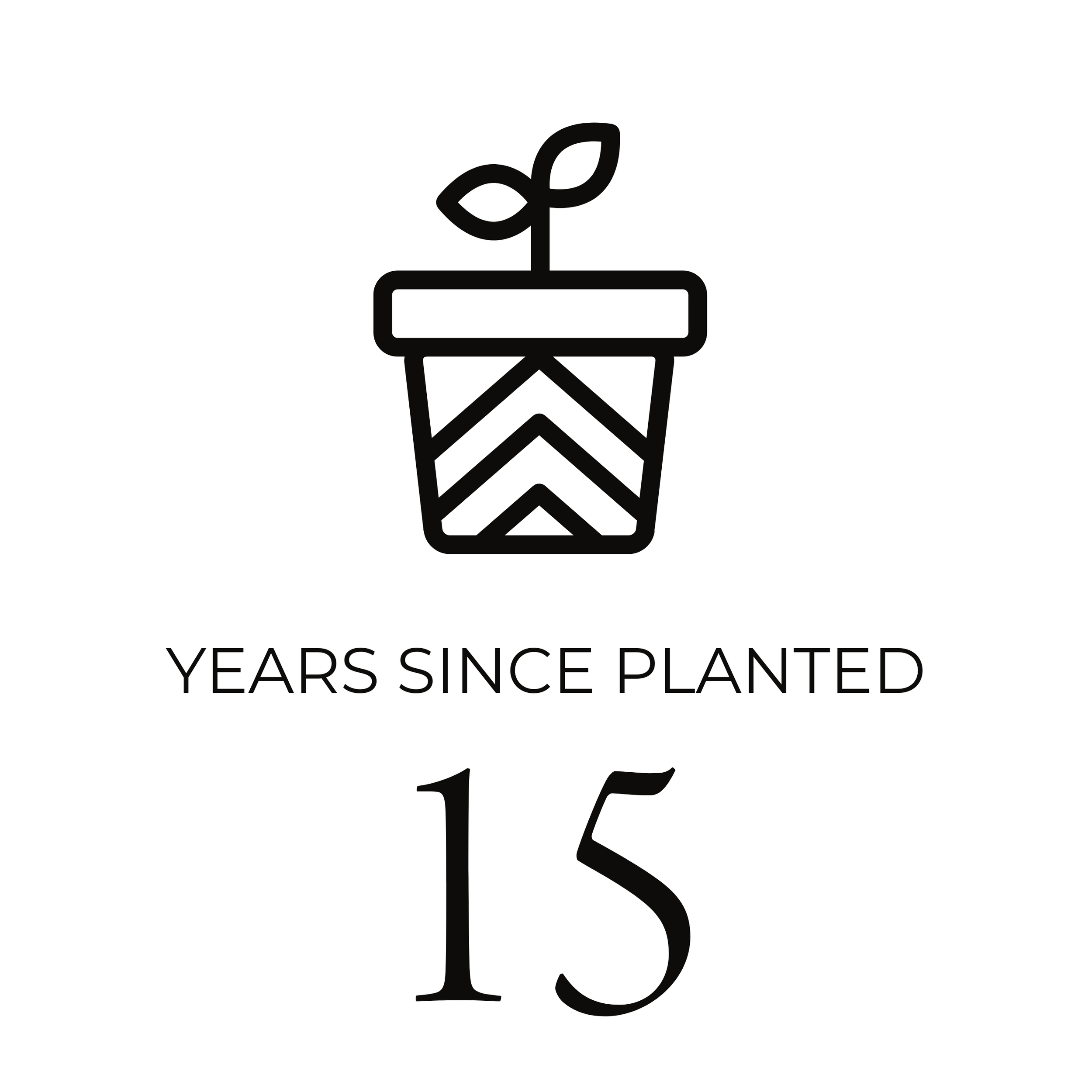 Years Since Planted (1).png