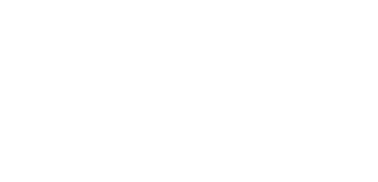 rays_W.png