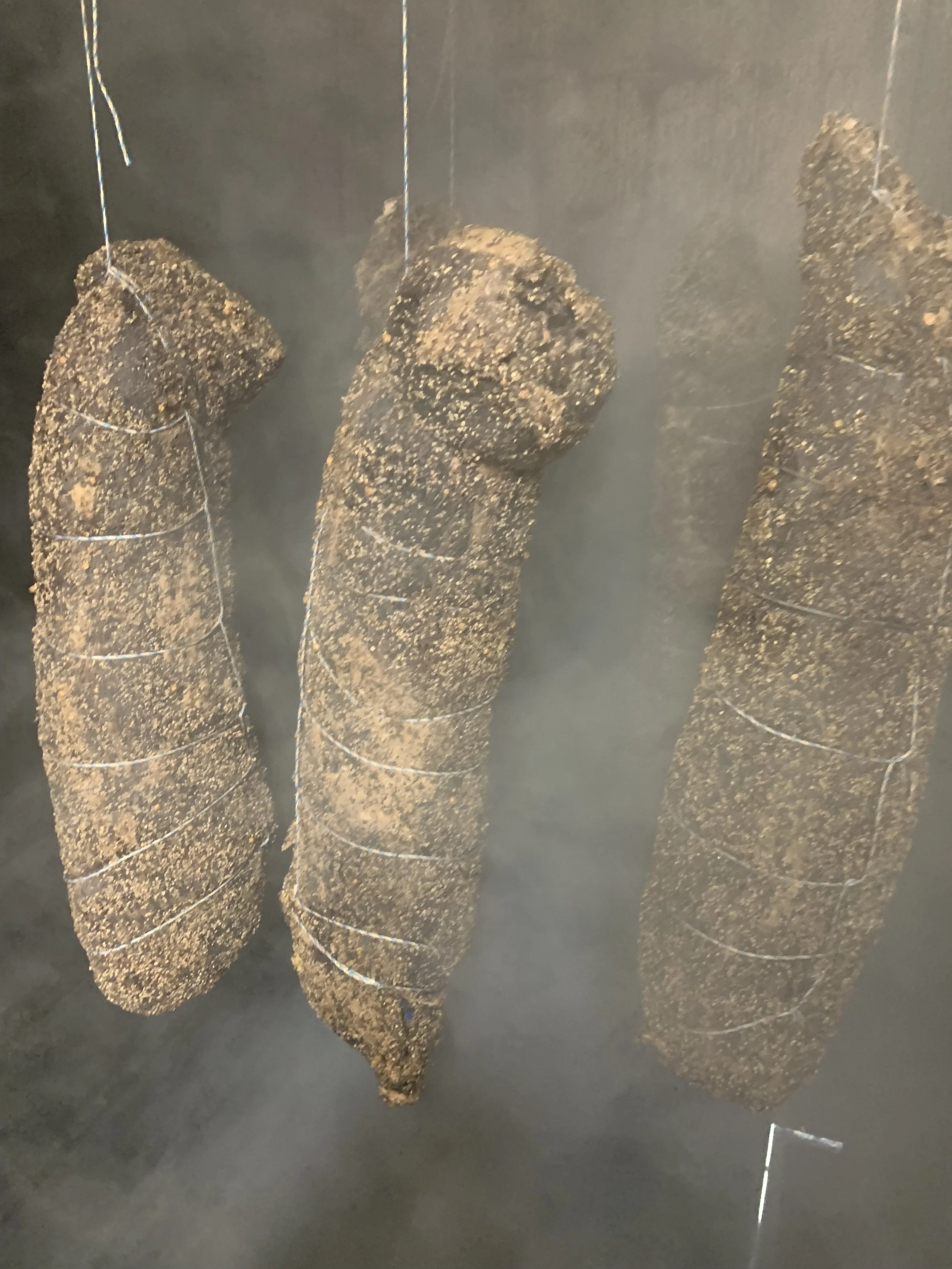 Wagyu bresaola smoking.JPG