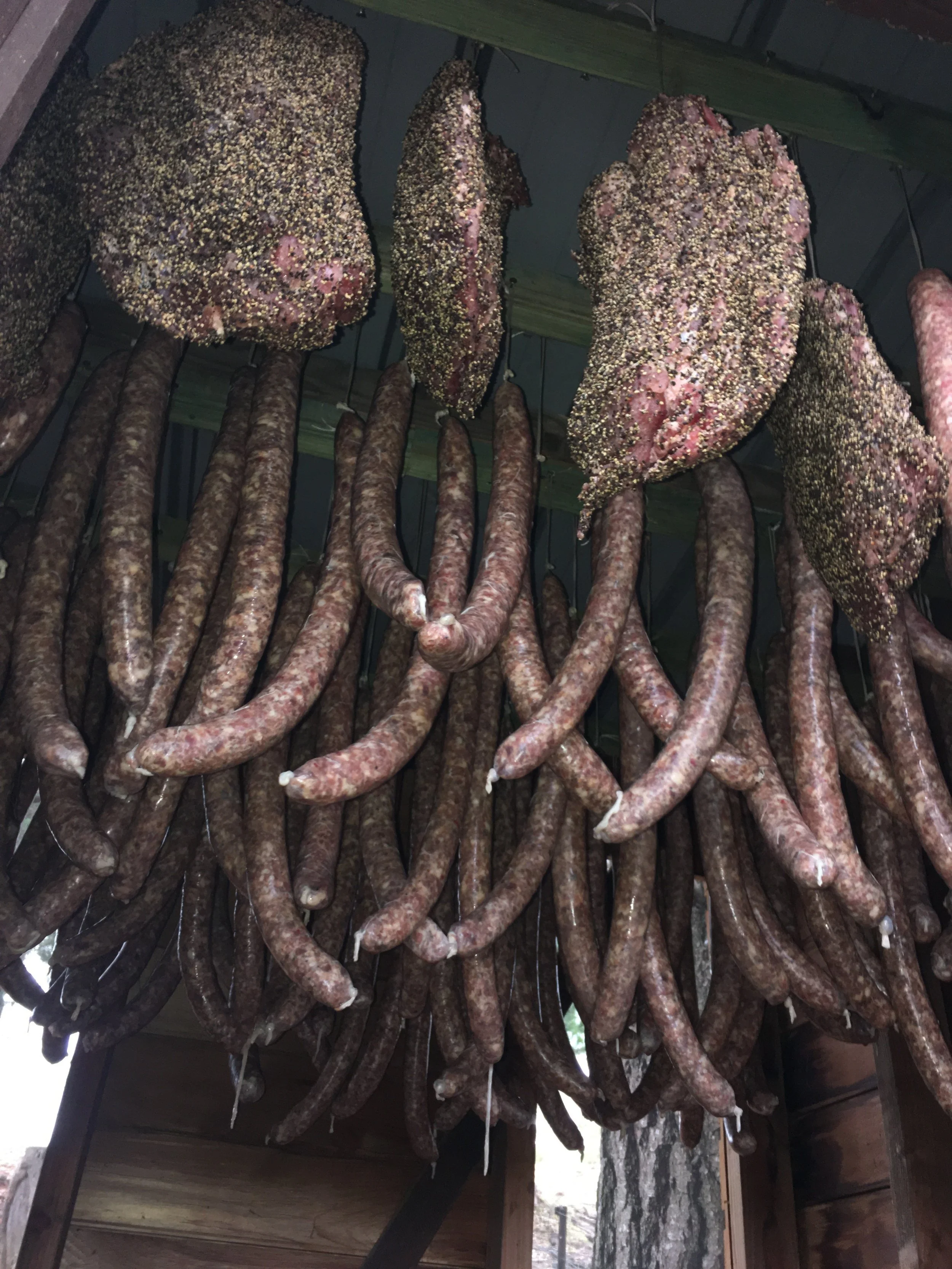 Salami and coppa hanging.jpg