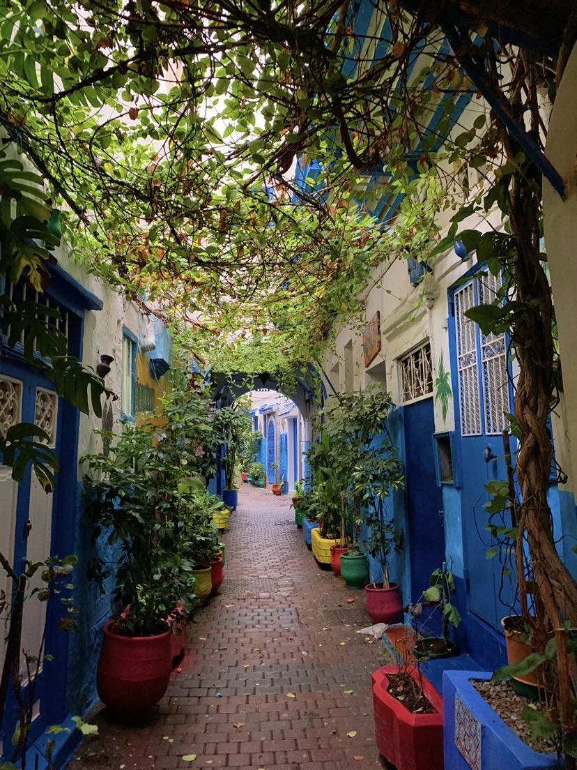 Sasha Temerte Tangier.jpg