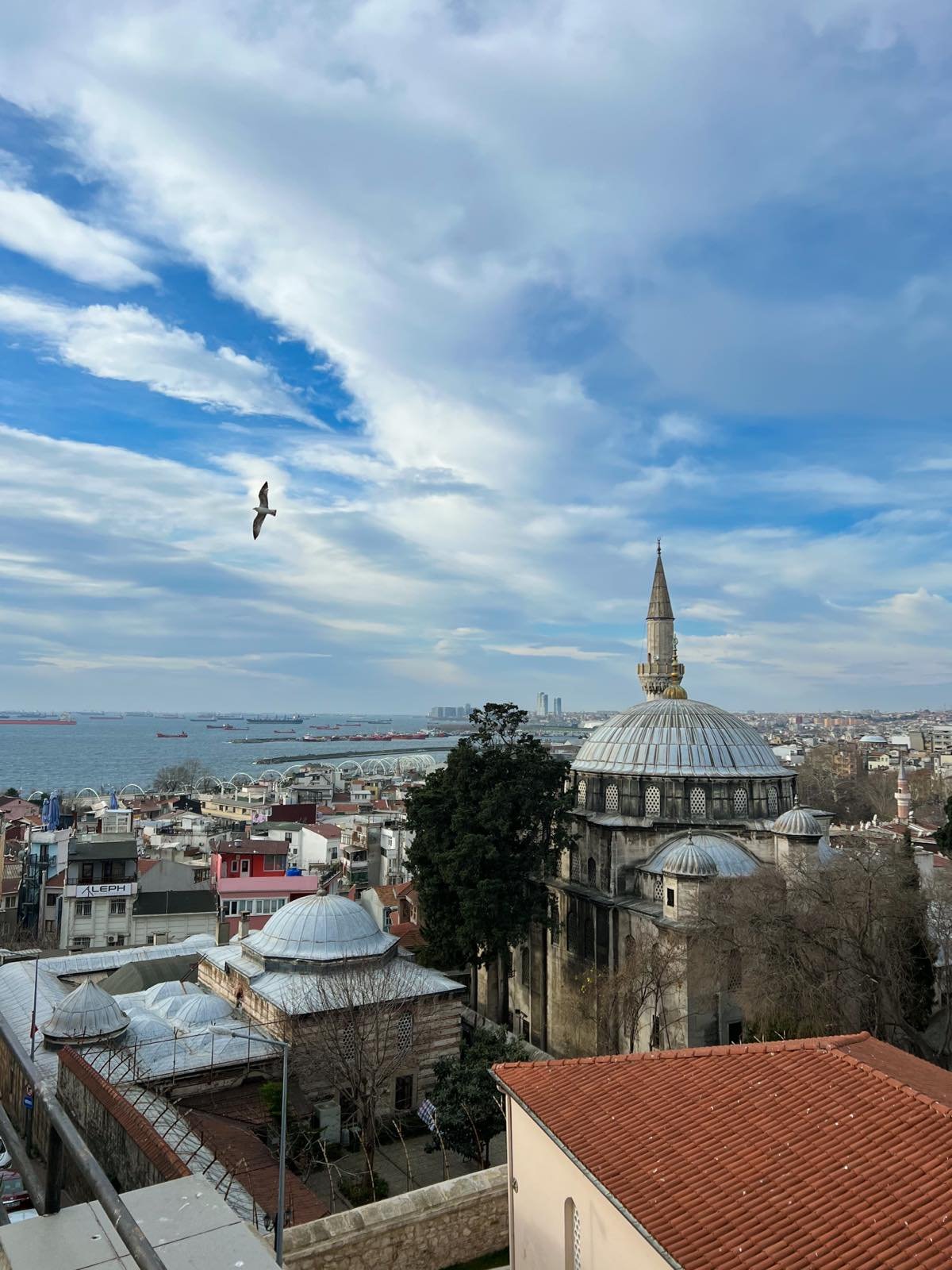Sasha Temerte Istanbul.jpg