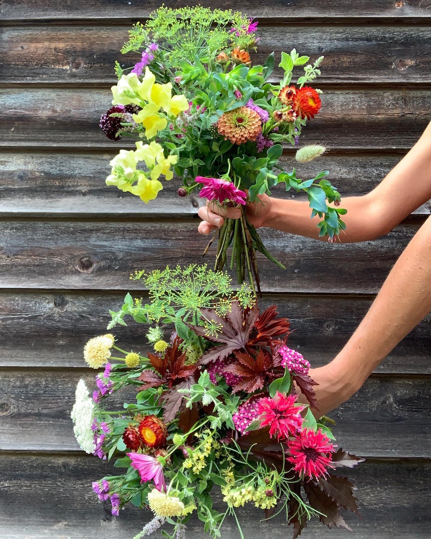 Hi friends-
Stand will open at 3pm when rain stops 🤞🏼 sorry for delay 💕