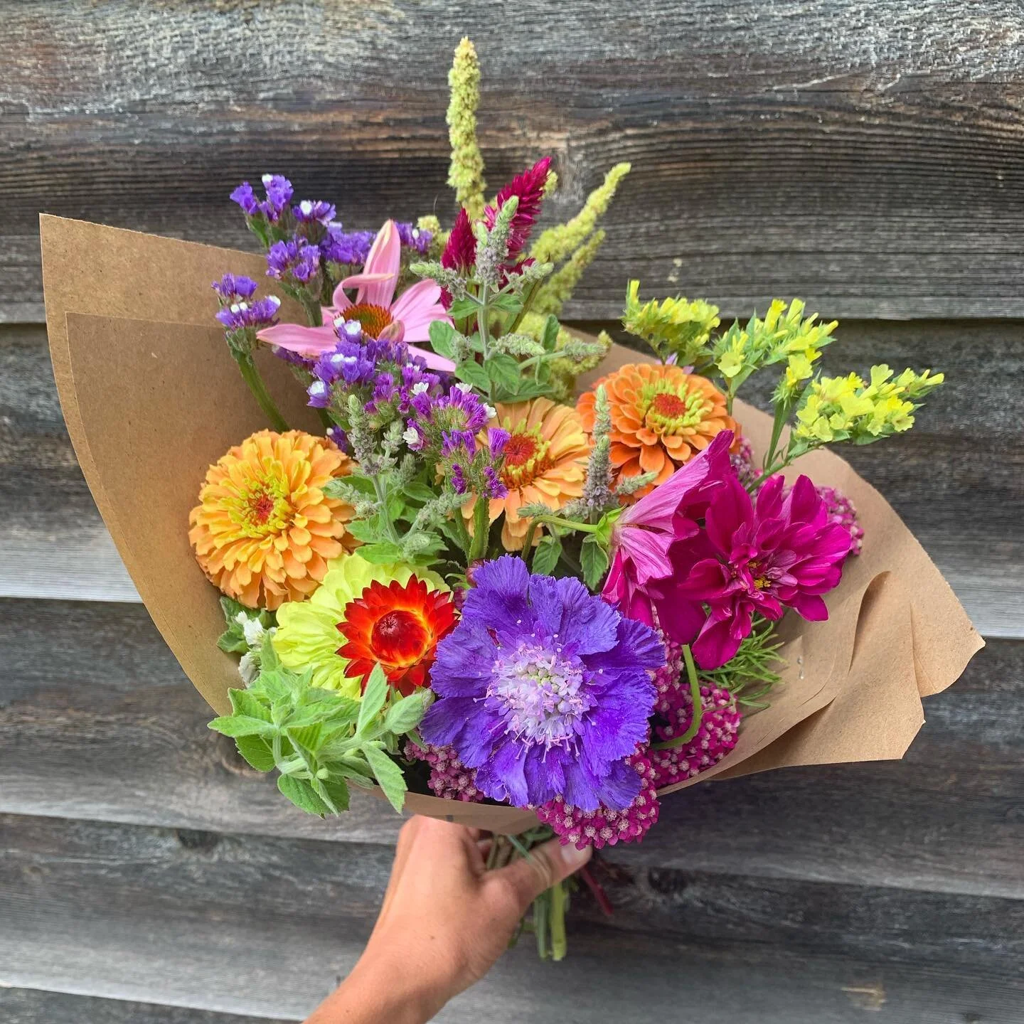 Stand is open- flowers awaiting new homes for the weekend. 🧡