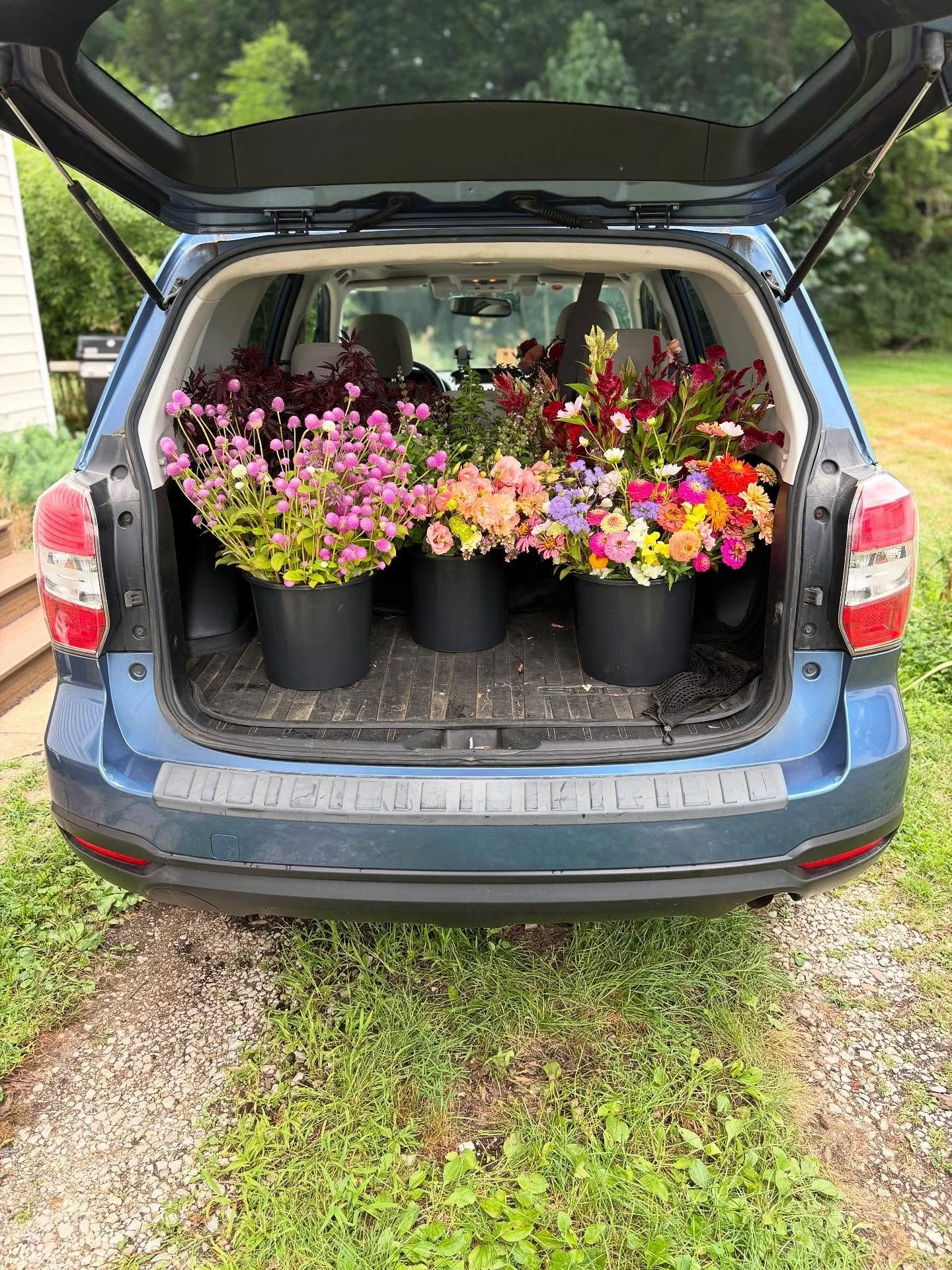 🌻🌷🌺🌼🌼see ya tomorrow🌻🌸🌷🌺🌼🌹🌼