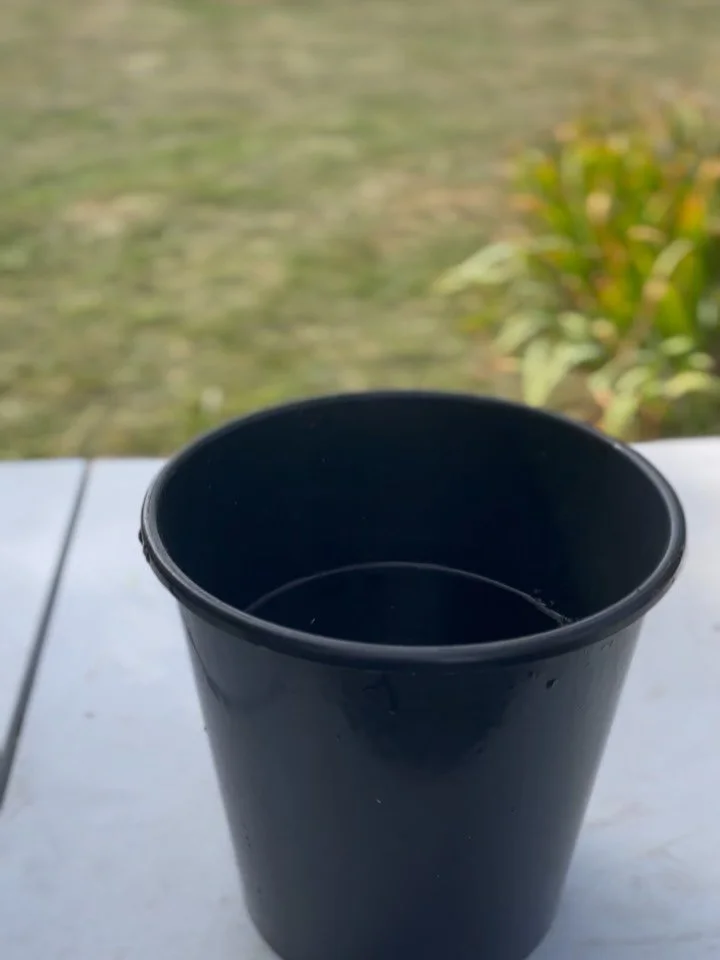 We are 🌸OPEN🌸

Grown here- for you by us!