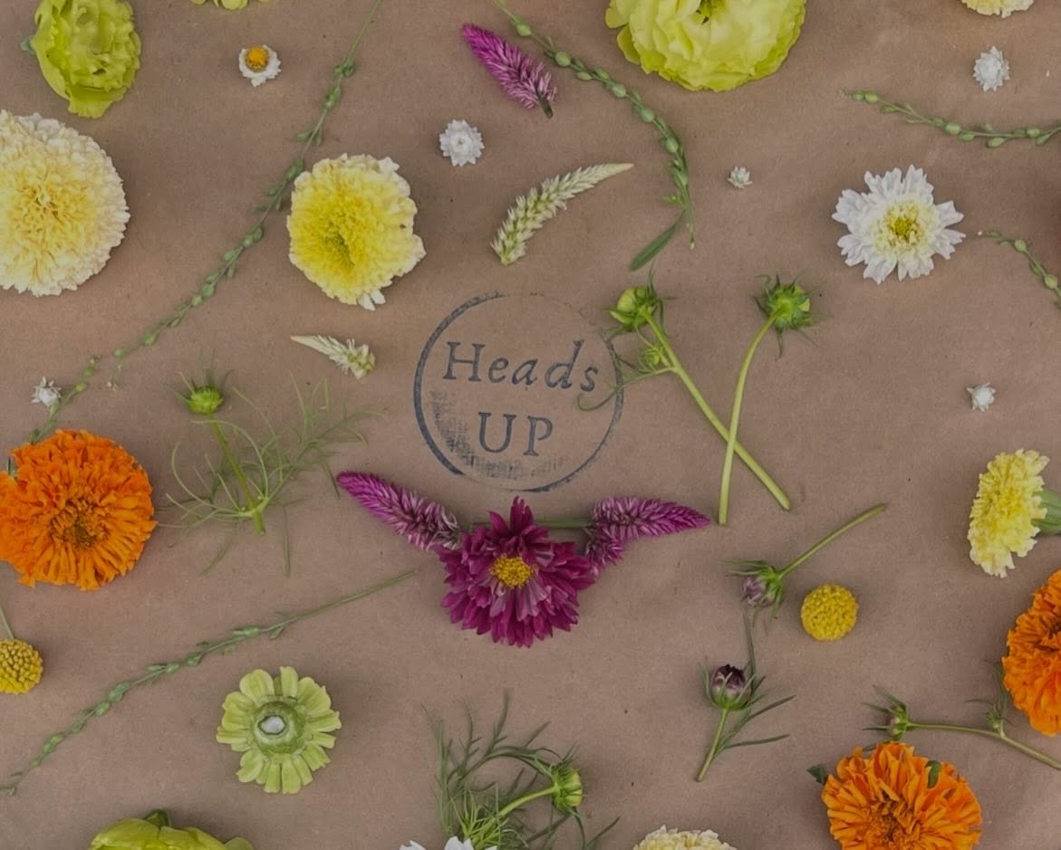 Big news!

This season we will continue to grow at STVM High School garden as well as have a plot at @oldtrailschool farm- thanks to our partnership with @farming.with.friends! We are thrilled to have access to both growing spaces. 🌸🌺💐🌻

May-Octo