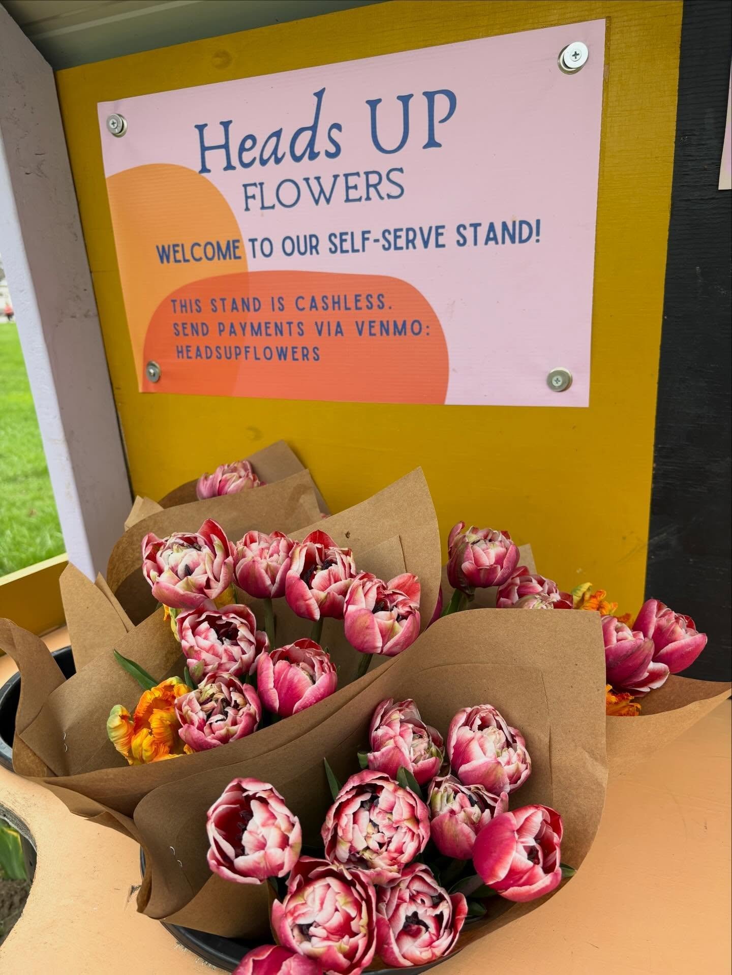 SOLD OUT TODAY- more on Saturday and Sunday
 
Enjoy them while they are here. THIS WEEKEND ONLY! (Until we open again for our main season)

This beauties were grown at our garden annex location&hellip;.aka my backyard 🙌🏼😃

🙏🏻🌷😎💕