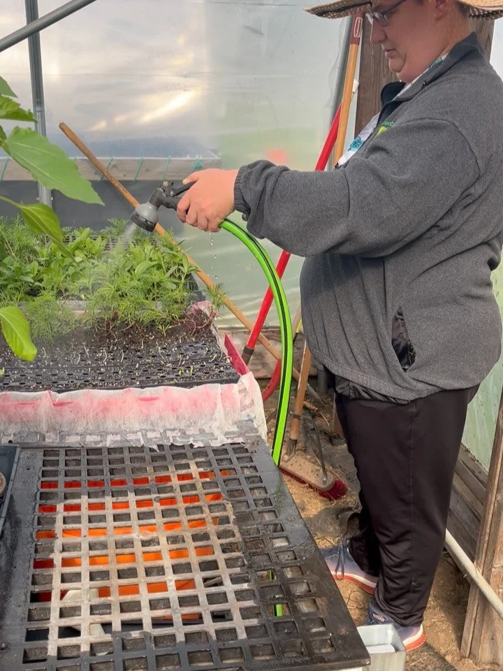 Today marks WEEK 3 of our gardening program! 

We played with fresh and dried today- tending to our seedlings in these last few days before being transplanted out and wreath making with dried flowers from @farming.with.friends! We made 2 wreaths to a