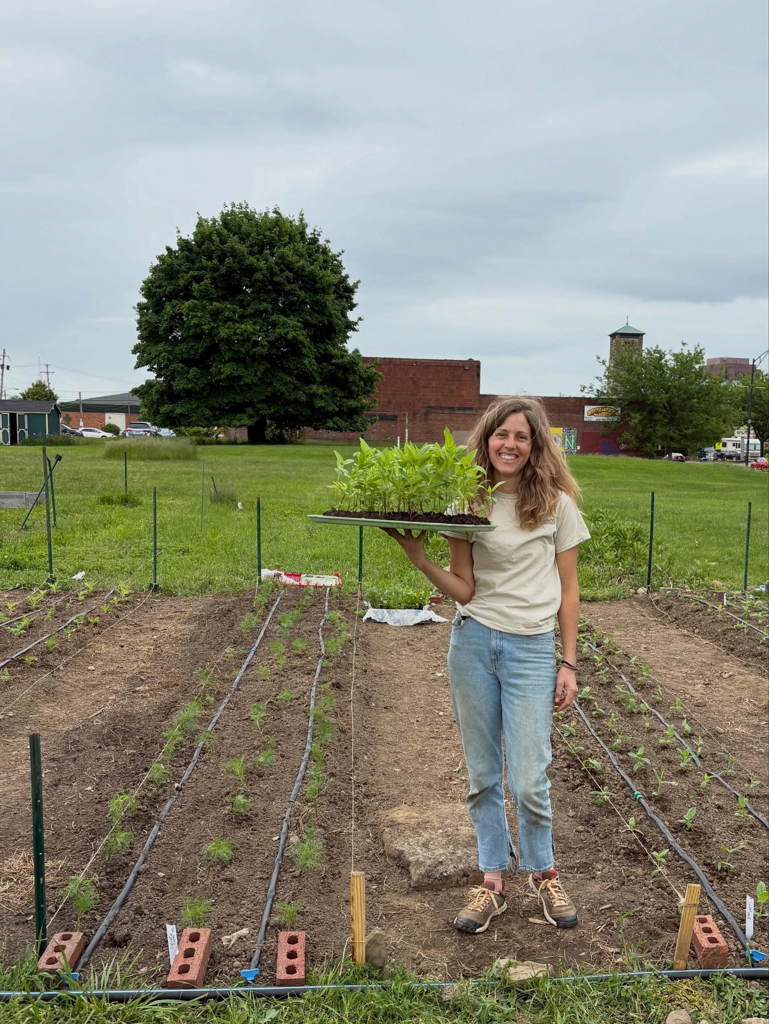 Fridays are for weeding, planting and photoshoots!

Today we tucked in over half our beds at STVM just hours before the rain watered them in 🌧️🙌🏼🌸