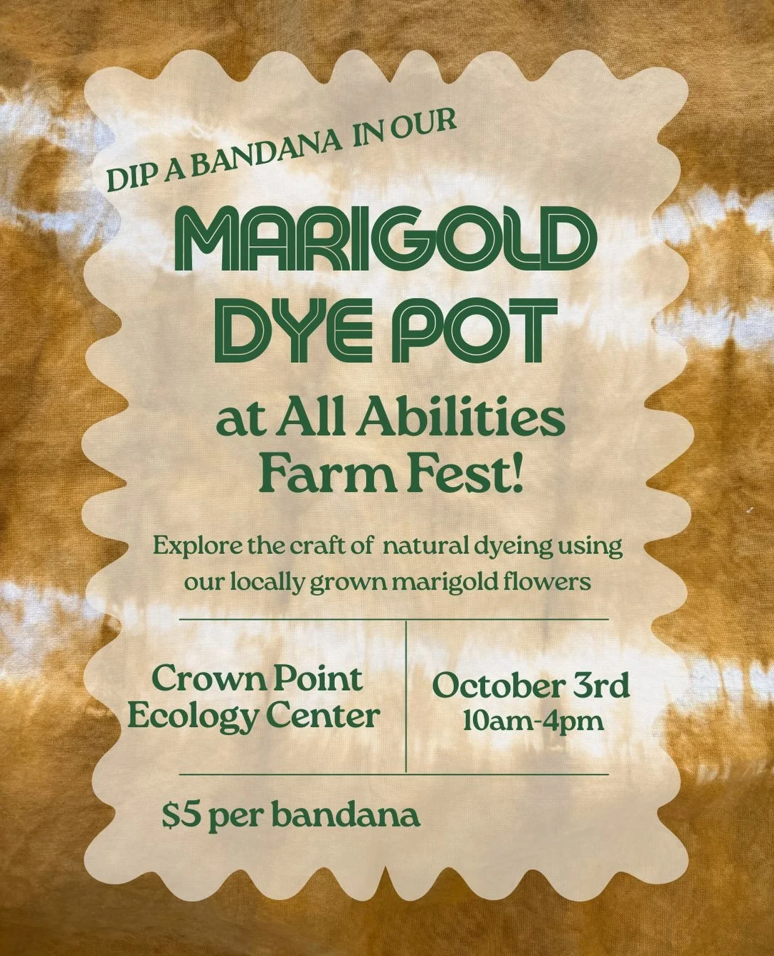 For our final dye pot of the season, we will be at @crownpointecology for All Abilities Fest on Saturday 10/3, 10am-4pm. We scoured and mordanted bandanas and saved up marigolds all season- come experience nature&rsquo;s tie dye! 🌼☮️ fun for all age