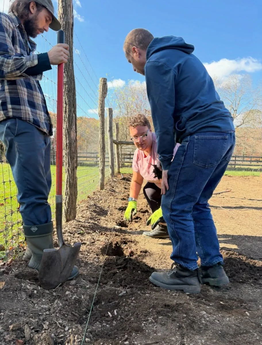 75 peonies going into the ground at @oldtrailschool on this sunny Friday! 😍🌸🌞