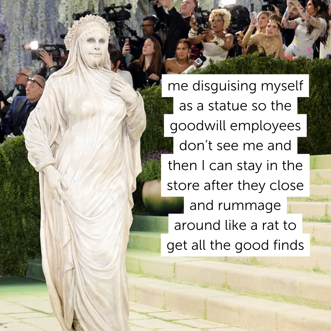 Meme for Goodwill - 2026