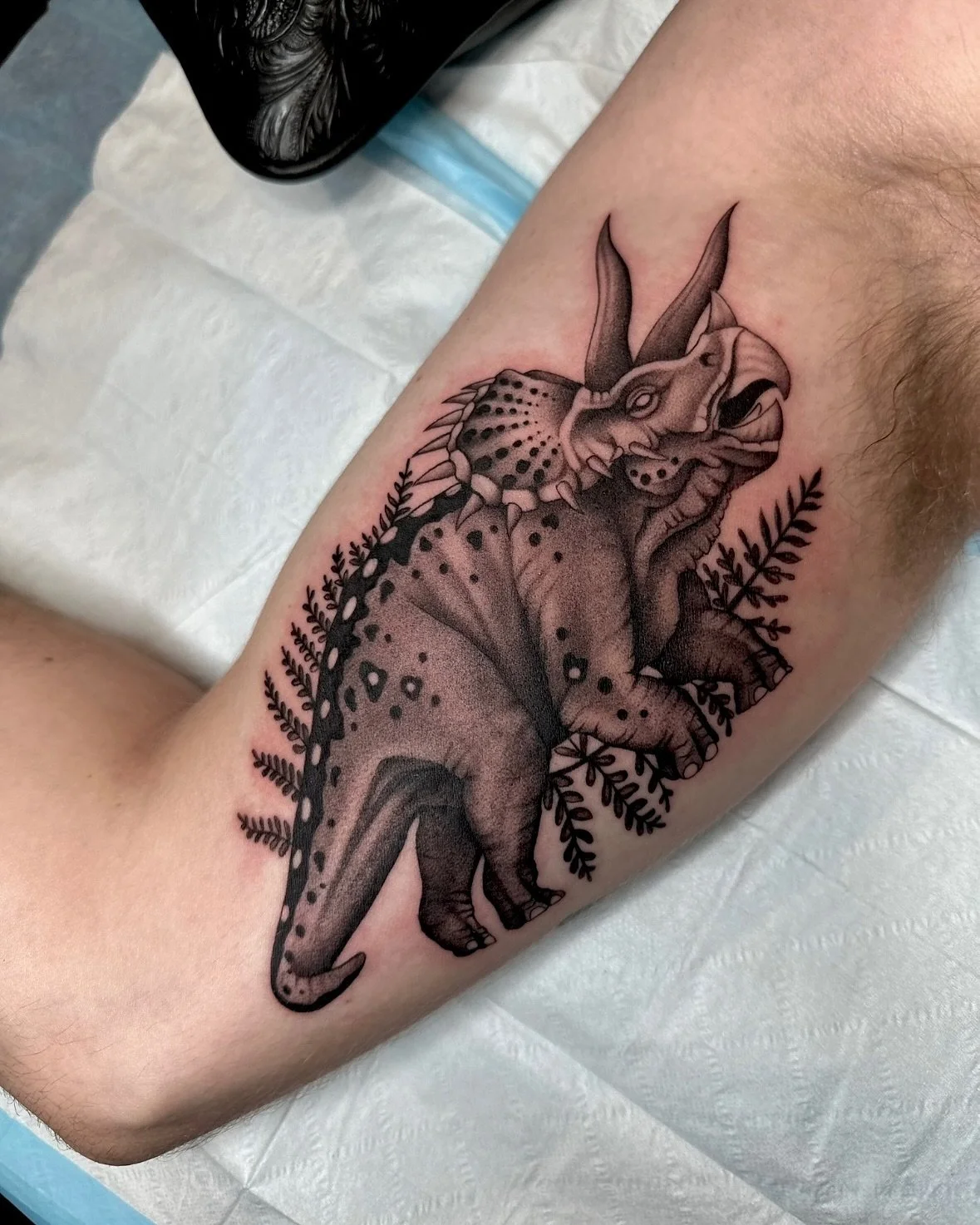 Two fun ones that I totally blanked on posting :) 

-

-

-

-

-
#dinosaur #dinosaurtattoo #lavalamp #lavalamptattoo #blackngreytattoo #coloradotattooartist #denvertattooartist #fortcollins #berthoudcolorado #colorado #femaletattooartist #businessow