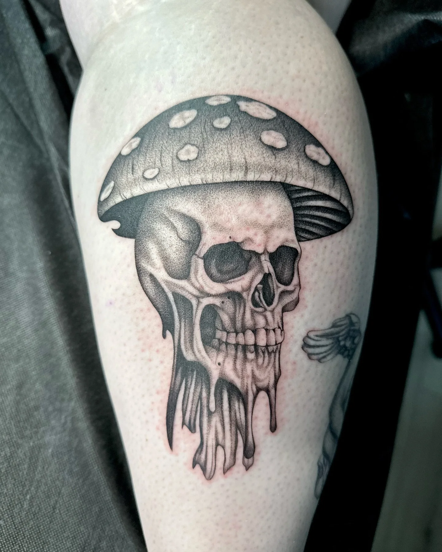 From my flash :)

-

-

-

-

-

#tattoo #tattoos #tattooartist #tattooart #tattooideas #tattooflash #flashtattoo #realism #realismtattoo #blackngreytattoo #mushroomtattoo #skulltattoos #designs #berthoud #fortcollinscolorado #denver #coloradotattooa