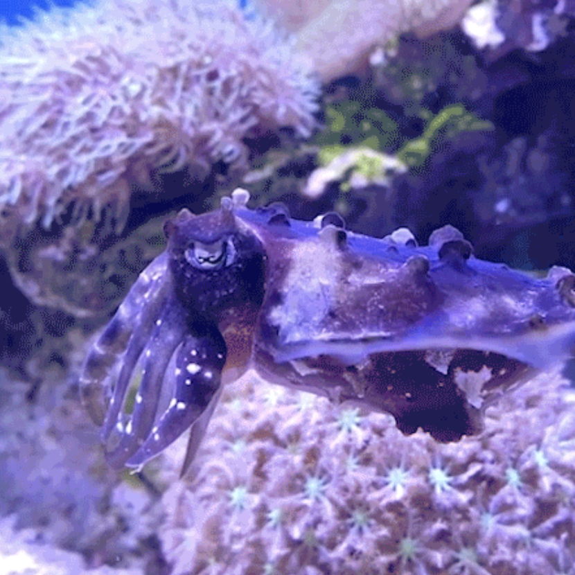 Screenshot 2024-01-30 at 5.27.27 PM.png