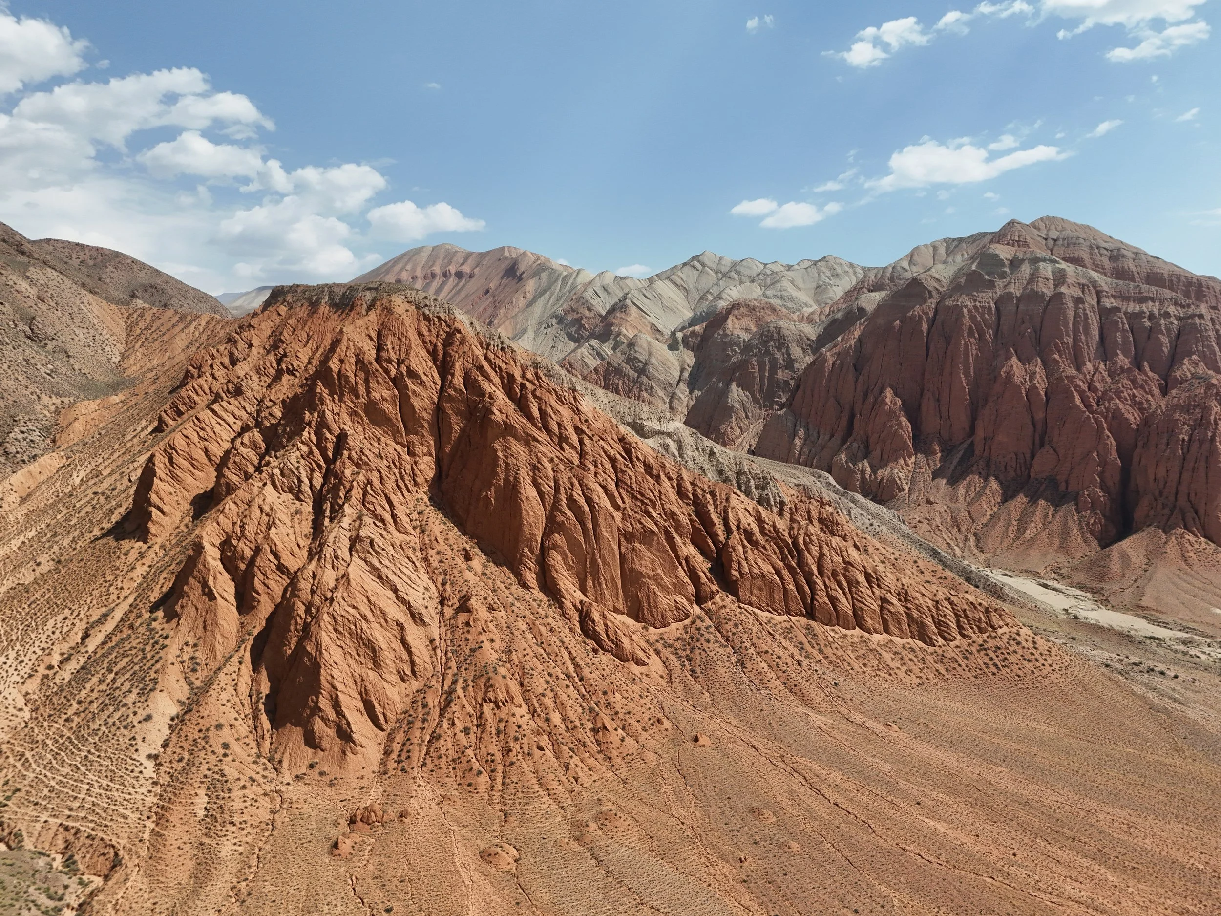 Great Game (2024)-249.jpg