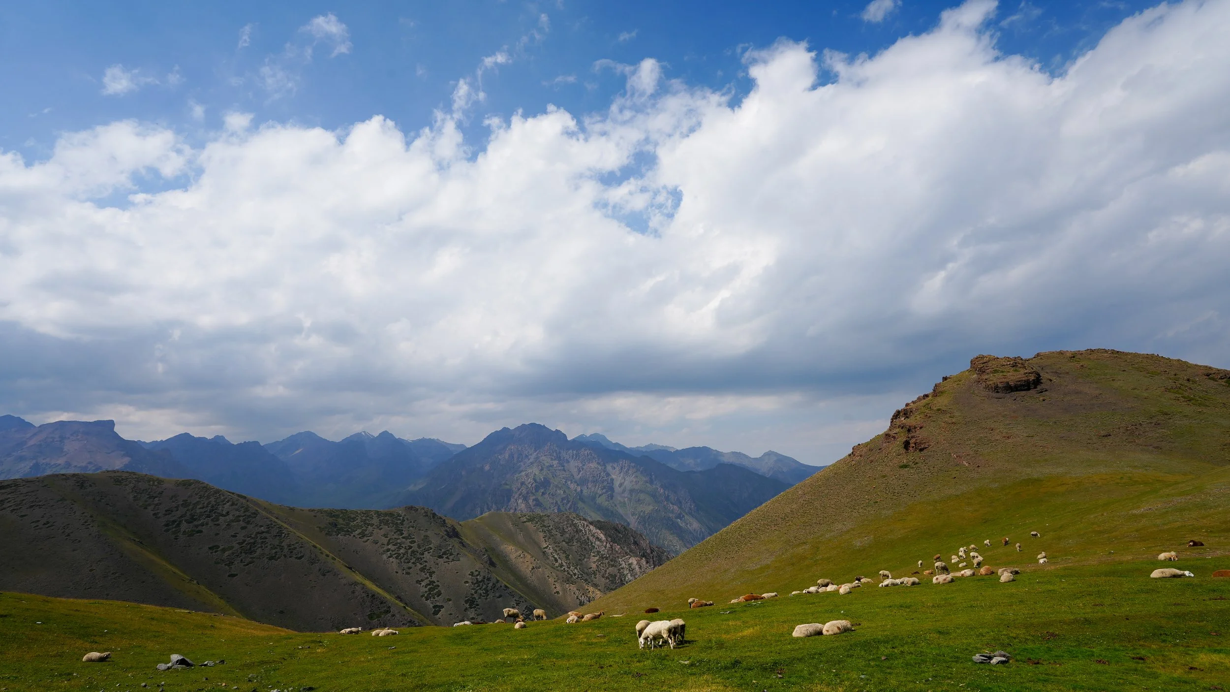 Great Game (2024)-123.jpg