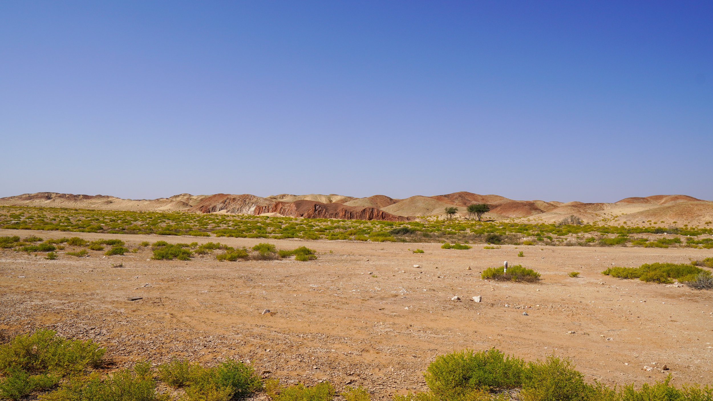 Oman-265.jpg