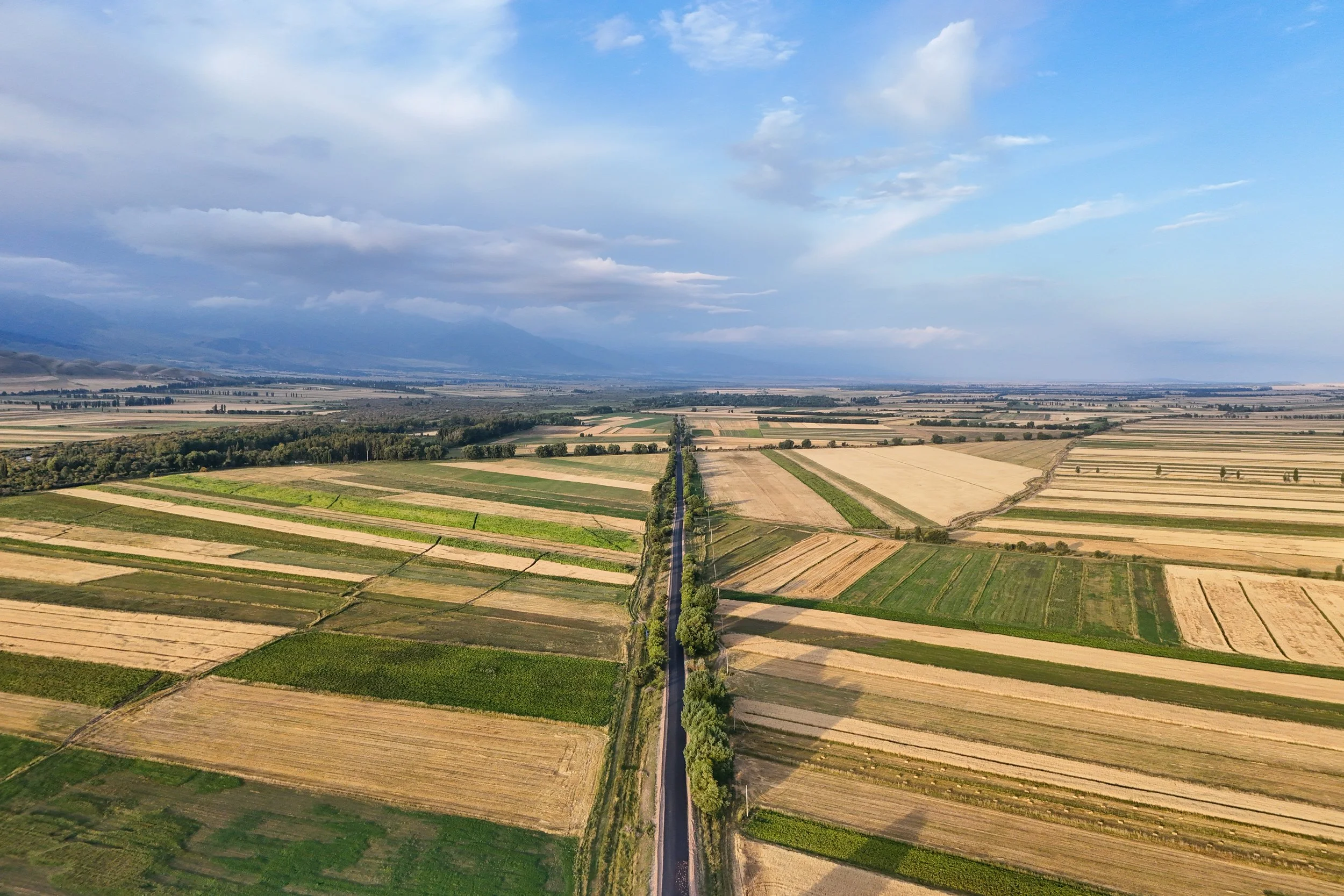 Great Game (2024)-1187.jpg