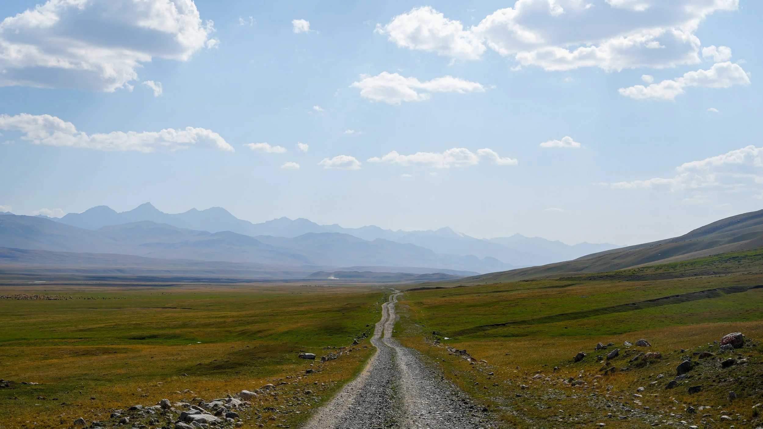 Great Game (2024)-0930.jpg