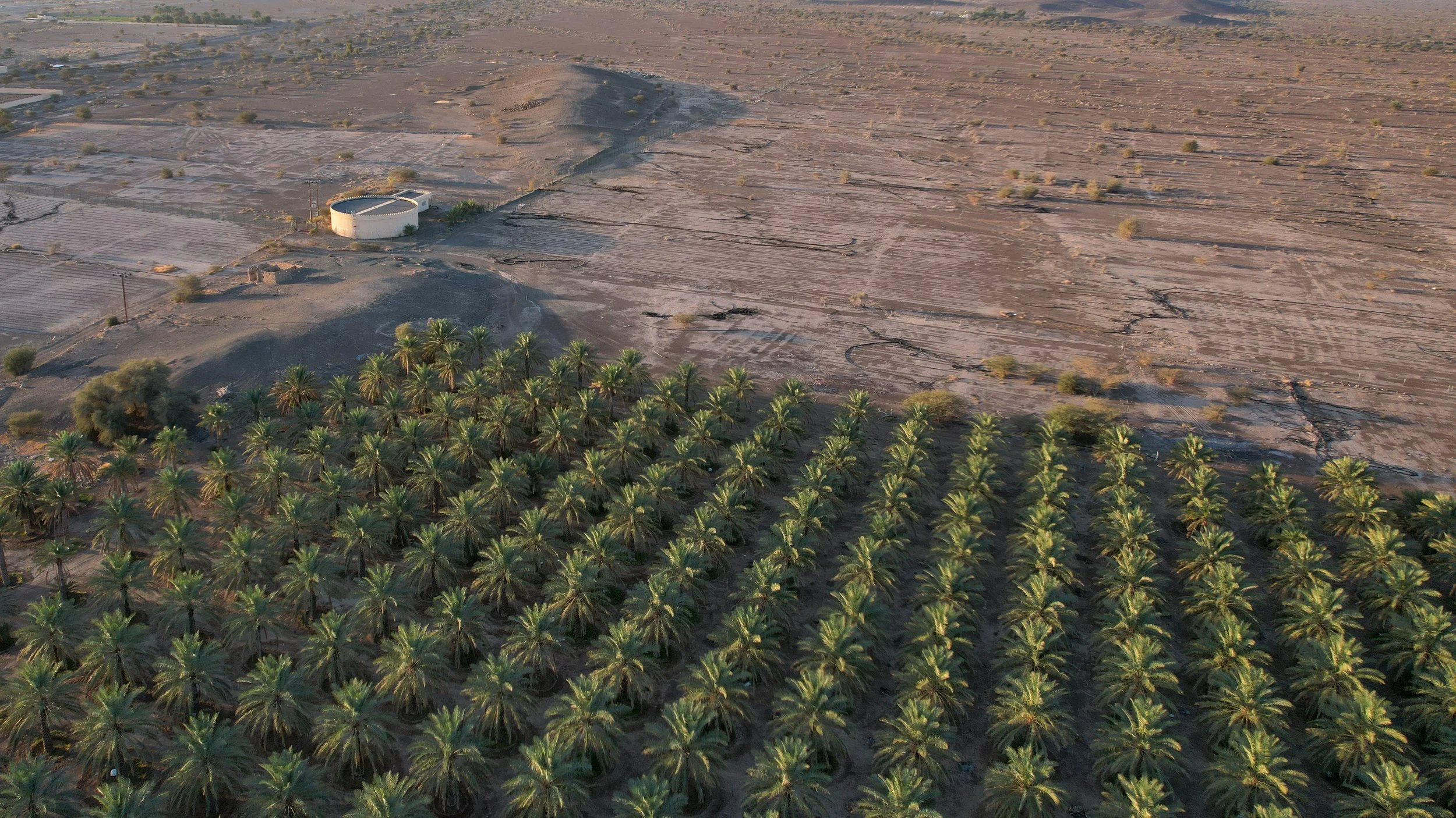 Oman-819.jpg