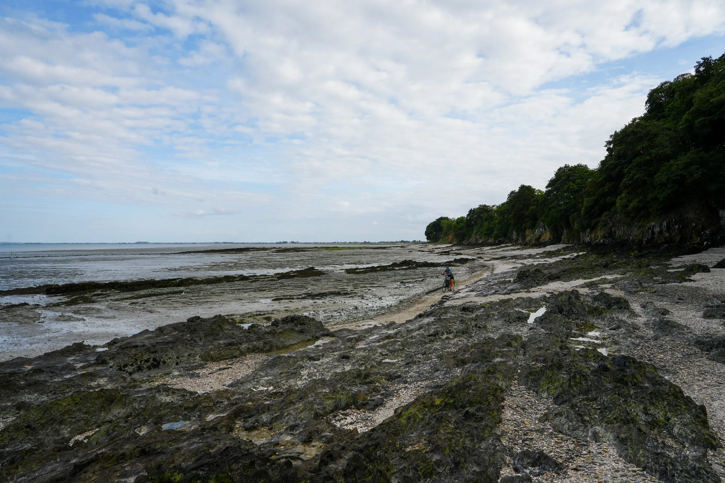 Normandy-247.jpg
