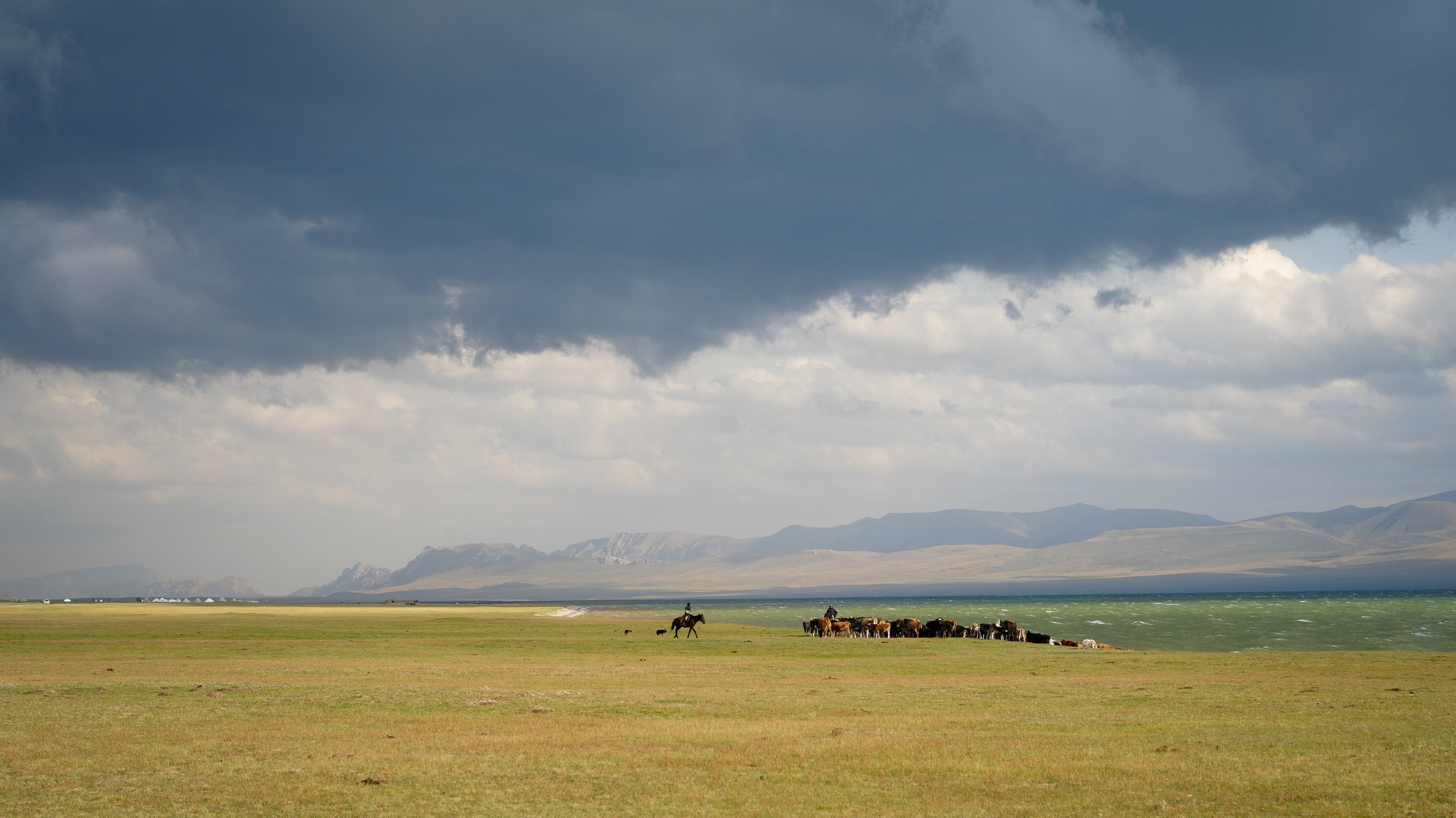 Great Game (2024)-496.jpg