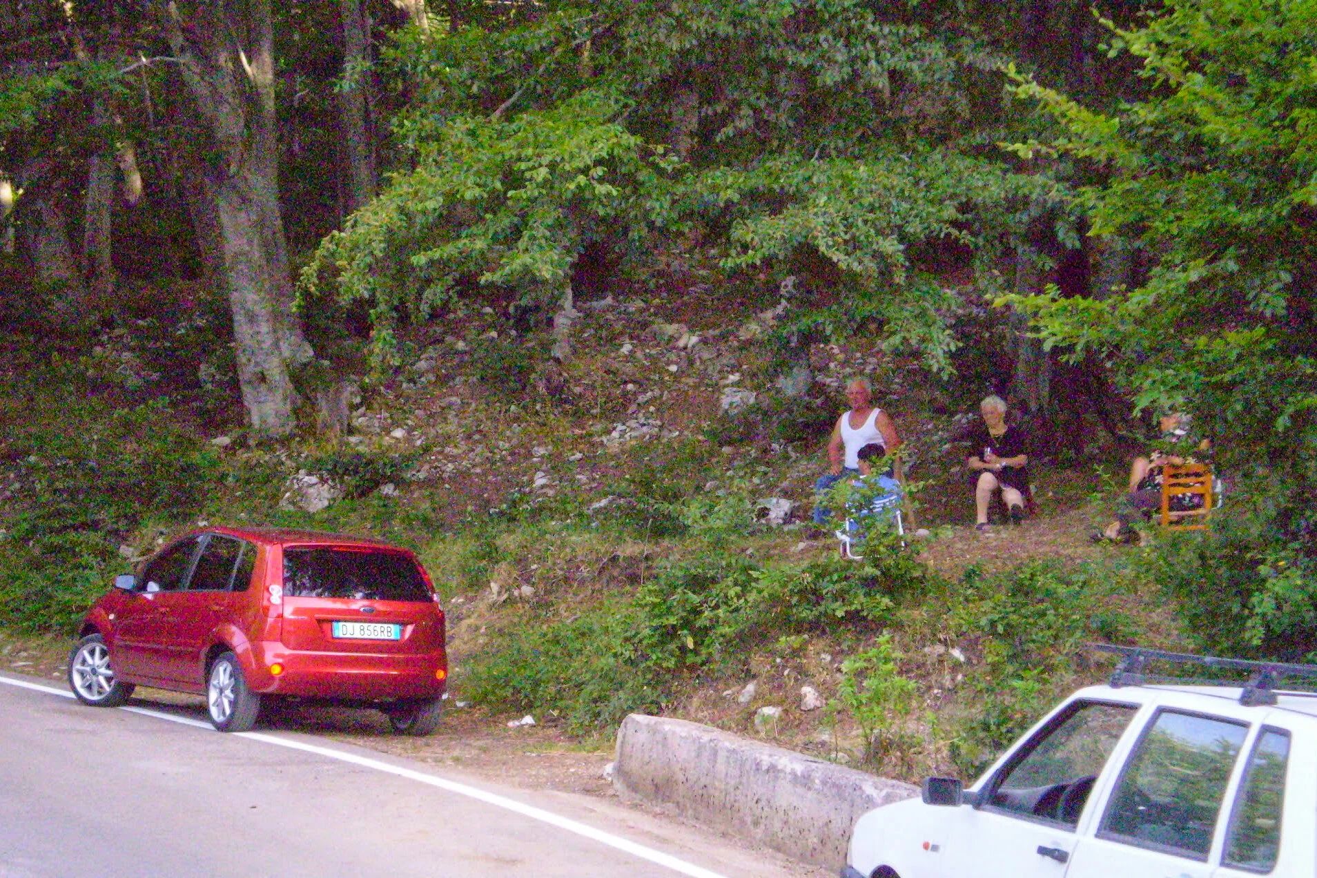 ilMagnicifo-118.jpg