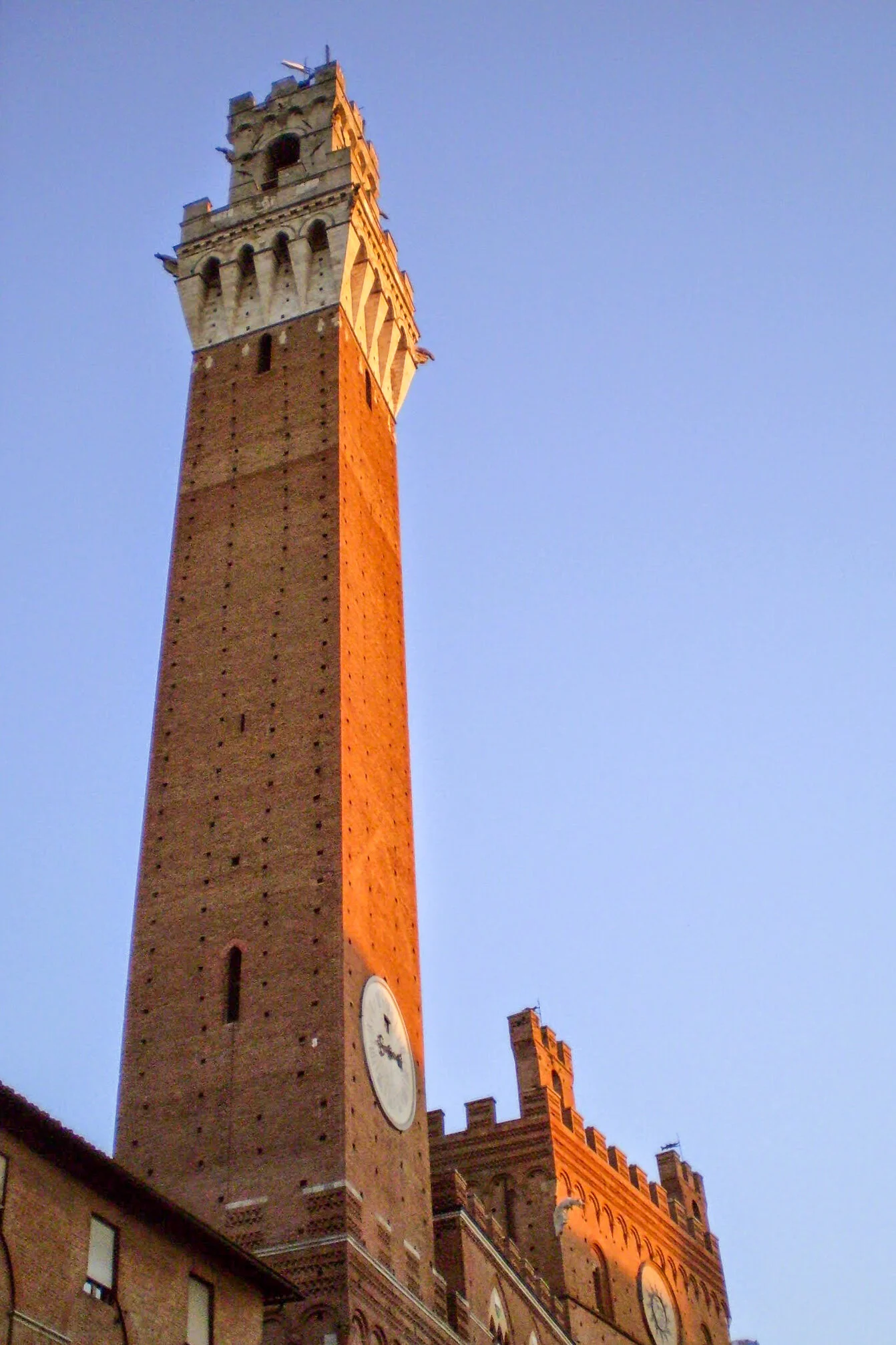 ilMagnicifo-018.jpg