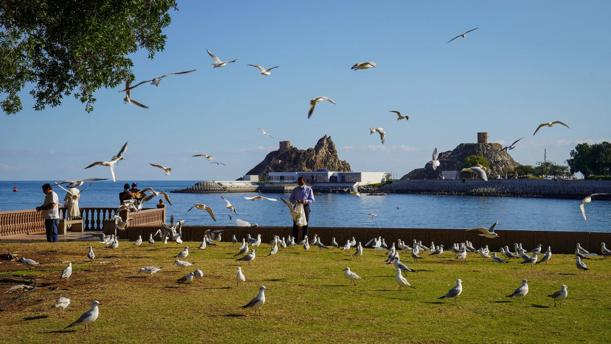 Oman-892.jpg